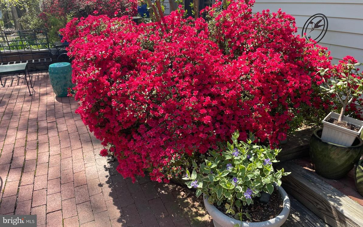 LAKEWOOD HILLS - Residential