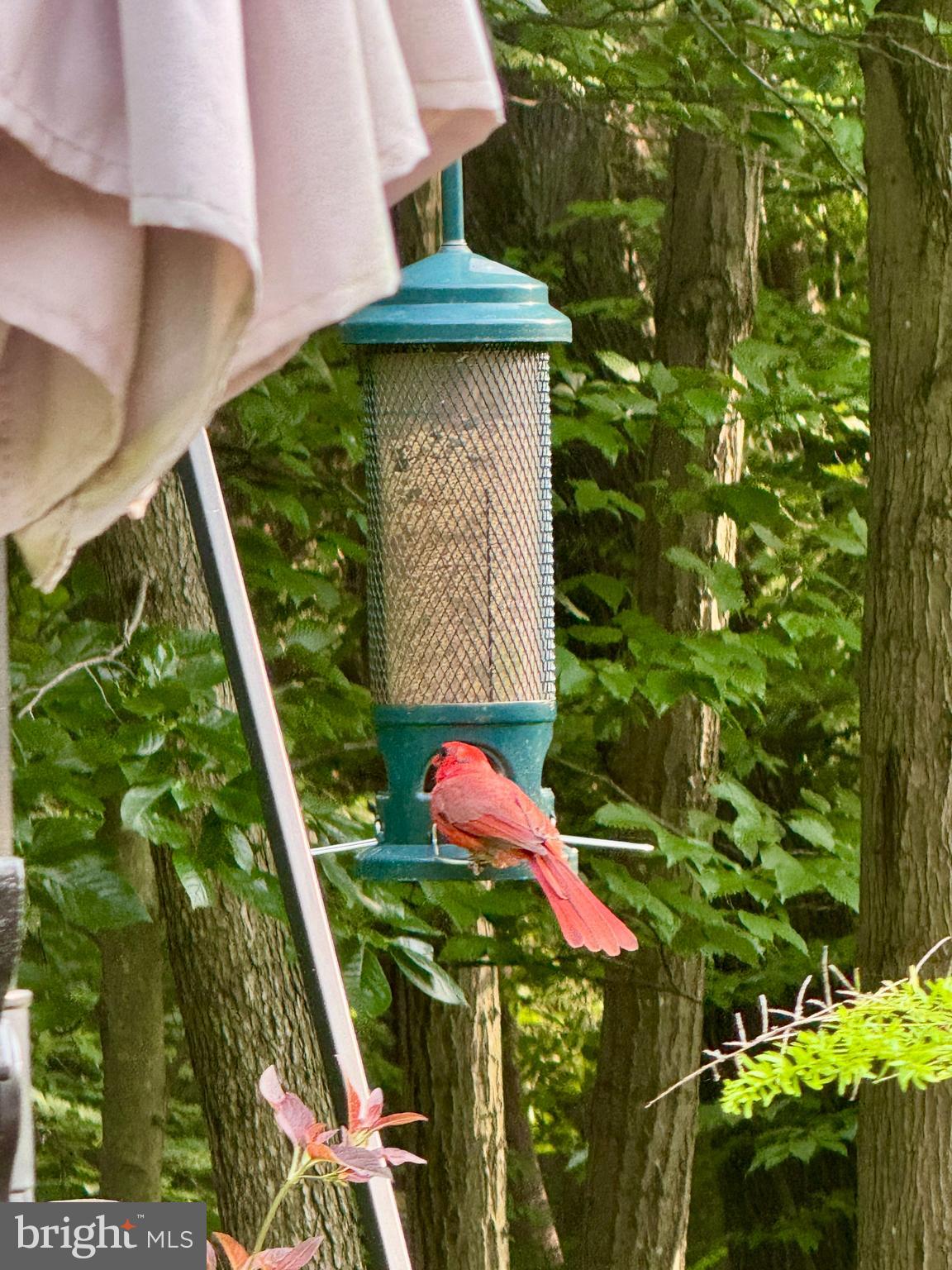 LAKEWOOD HILLS - Residential