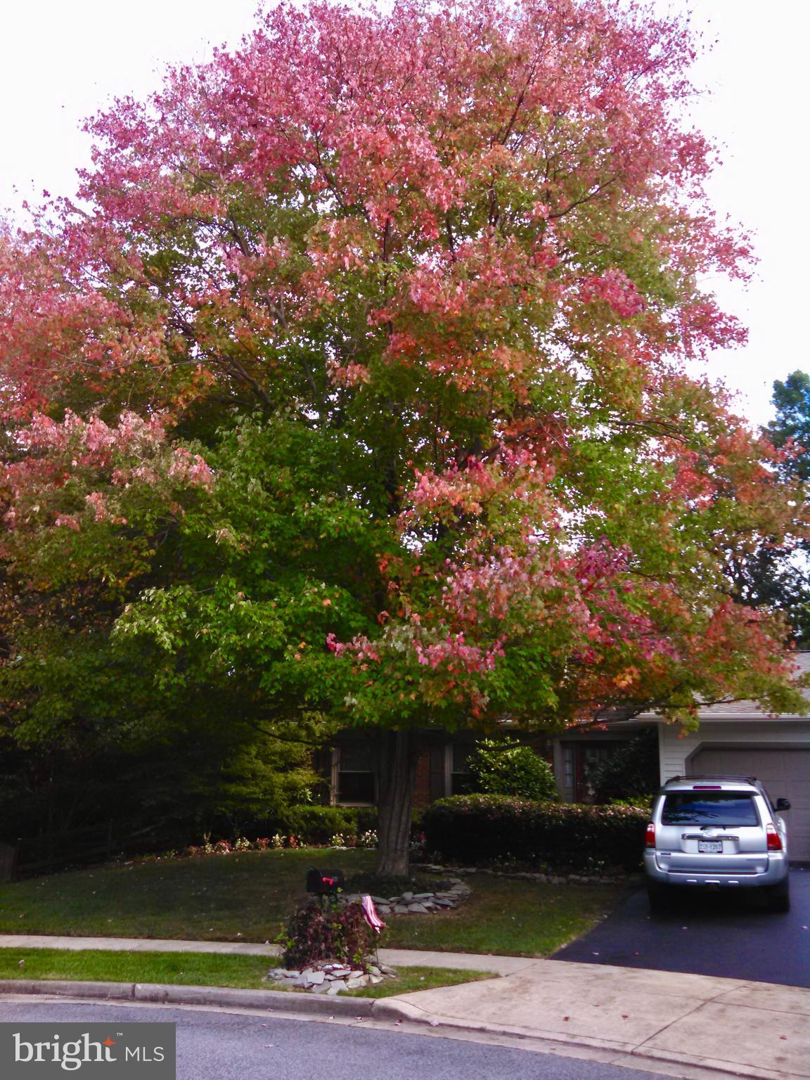 LAKEWOOD HILLS - Residential