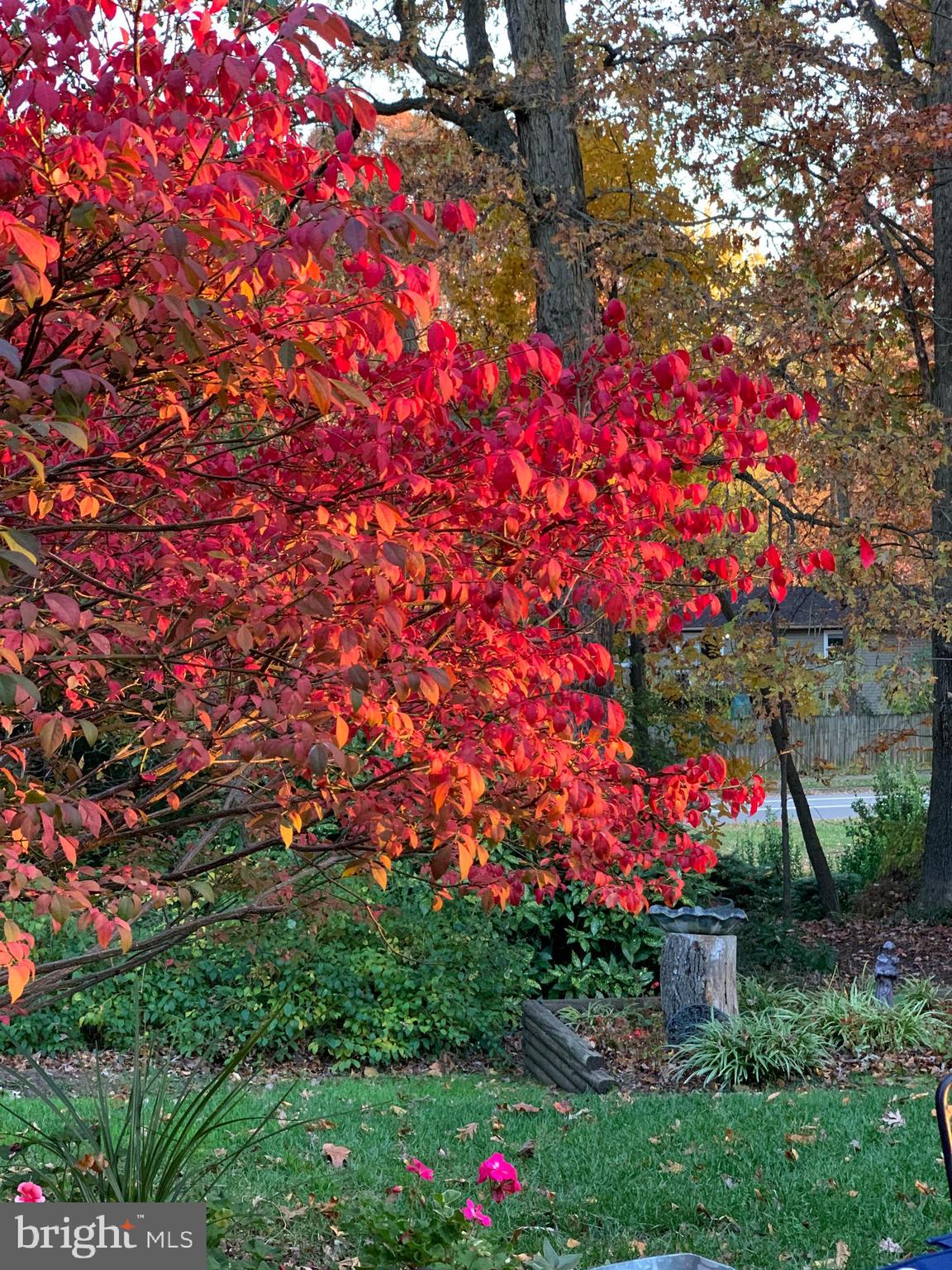 LAKEWOOD HILLS - Residential