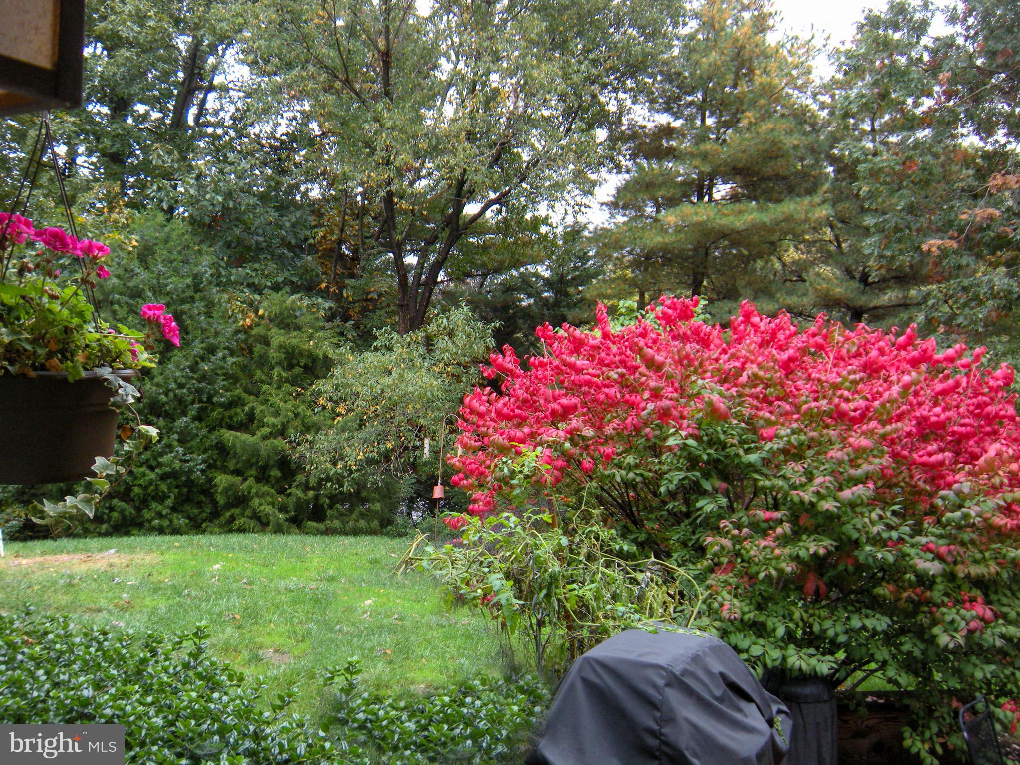 LAKEWOOD HILLS - Residential