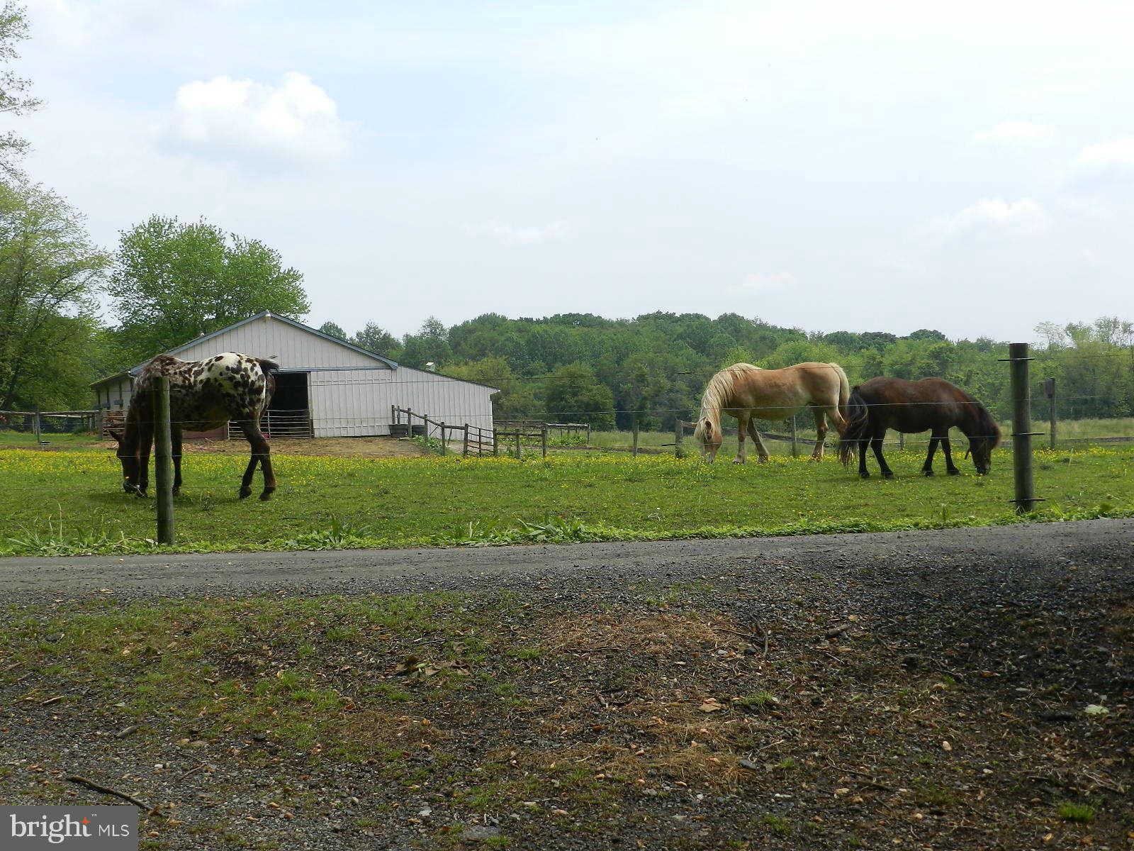 NONE AVAILABLE - Land