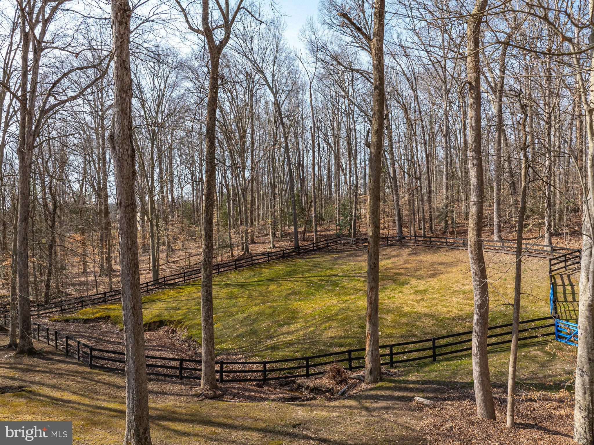 MAPLE BRANCH - Residential