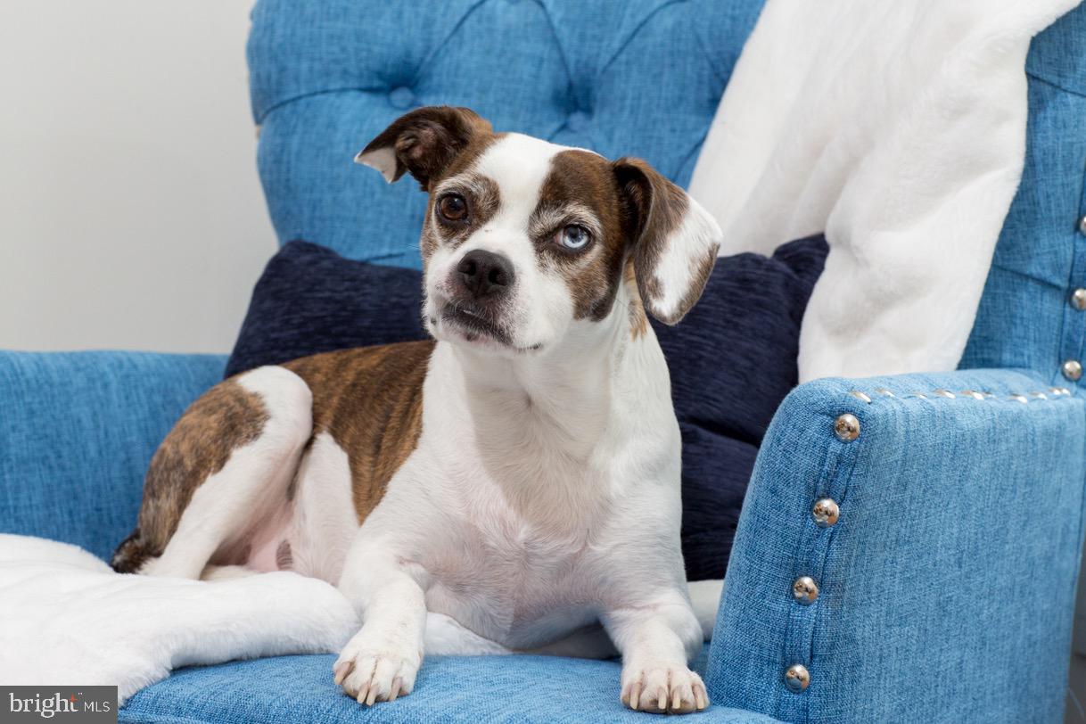 OLD CITY - Residential Lease