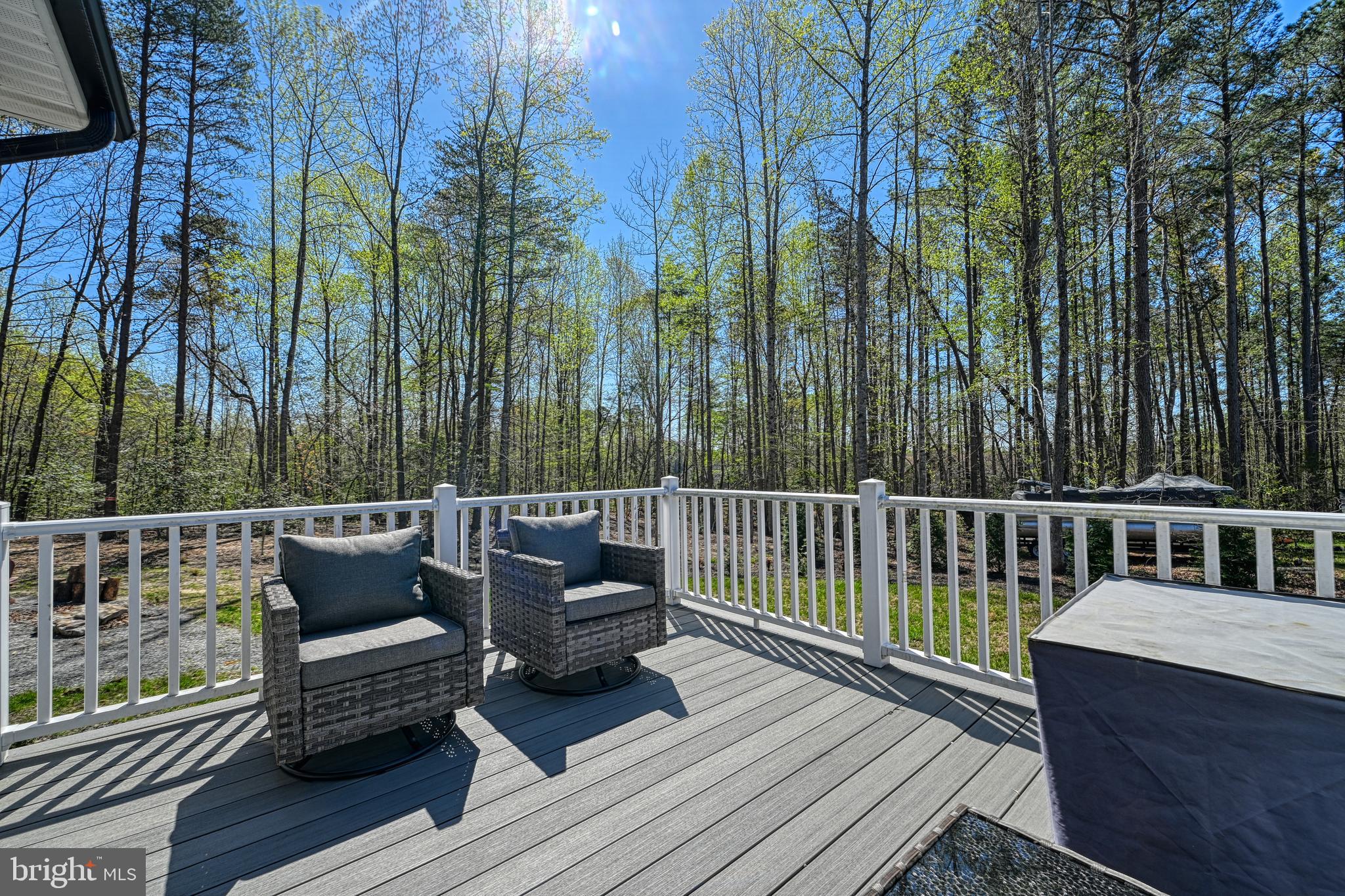 THE WATERS AT LAKE ANNA - Residential