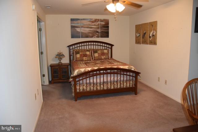 38586 YOLANDA STREET