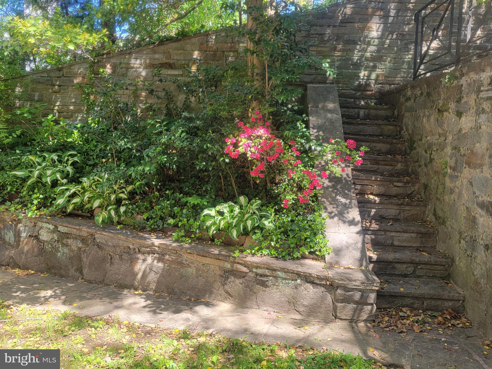 HOMELAND HISTORIC DISTRICT - Residential