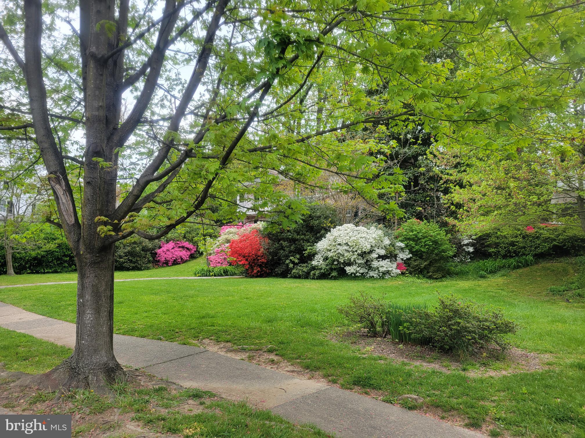 HOMELAND HISTORIC DISTRICT - Residential