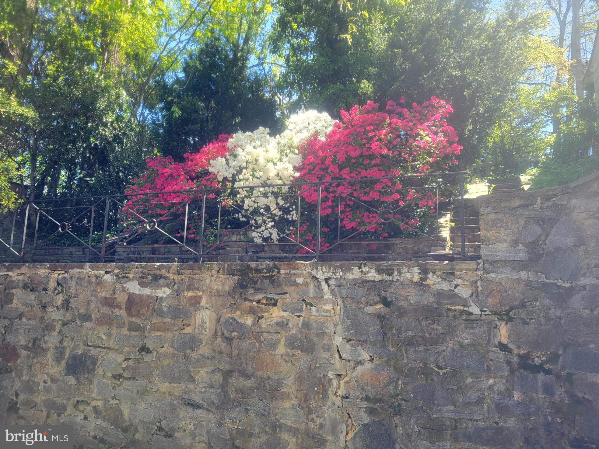 HOMELAND HISTORIC DISTRICT - Residential