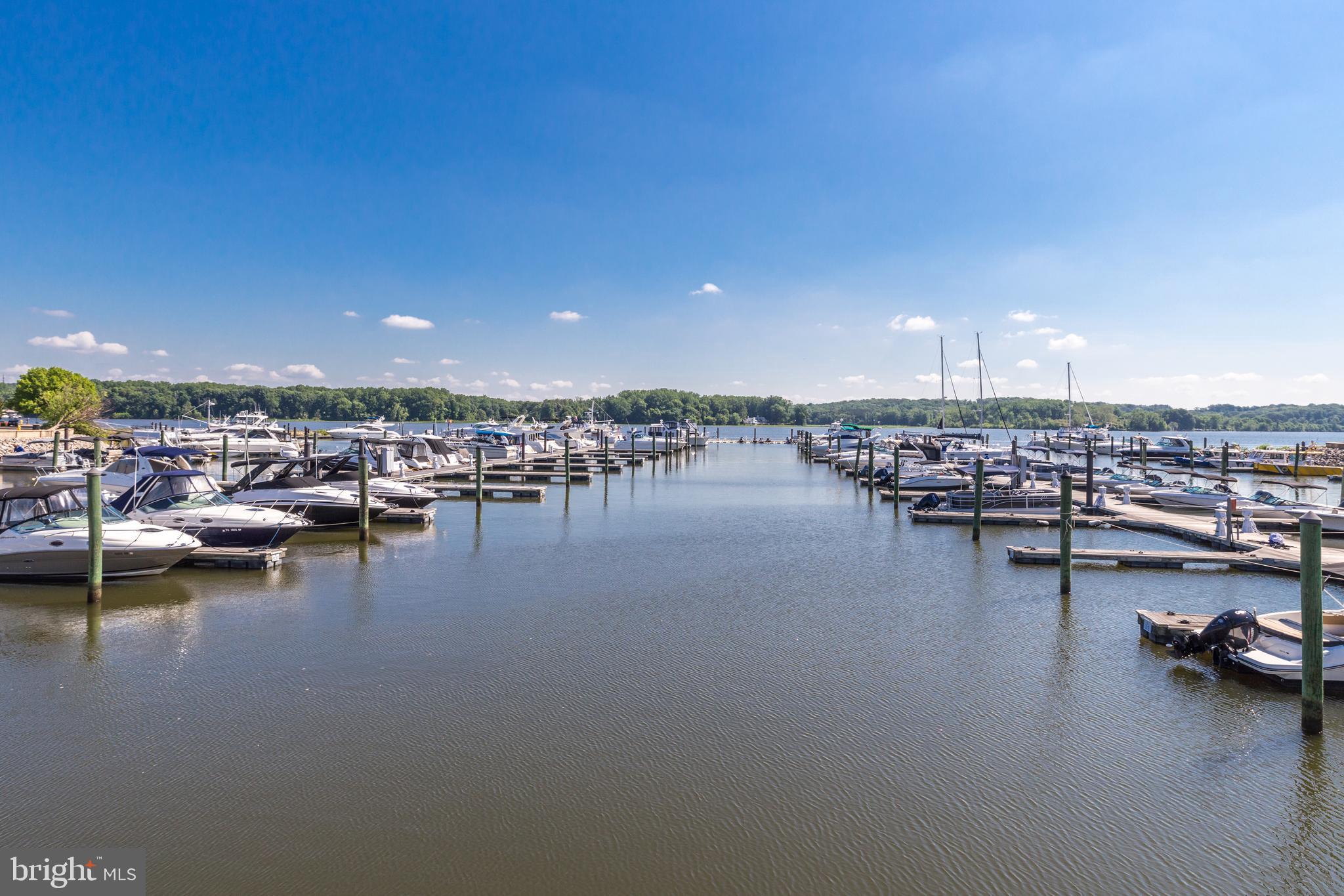 BELMONT TOWN CENTER - Residential