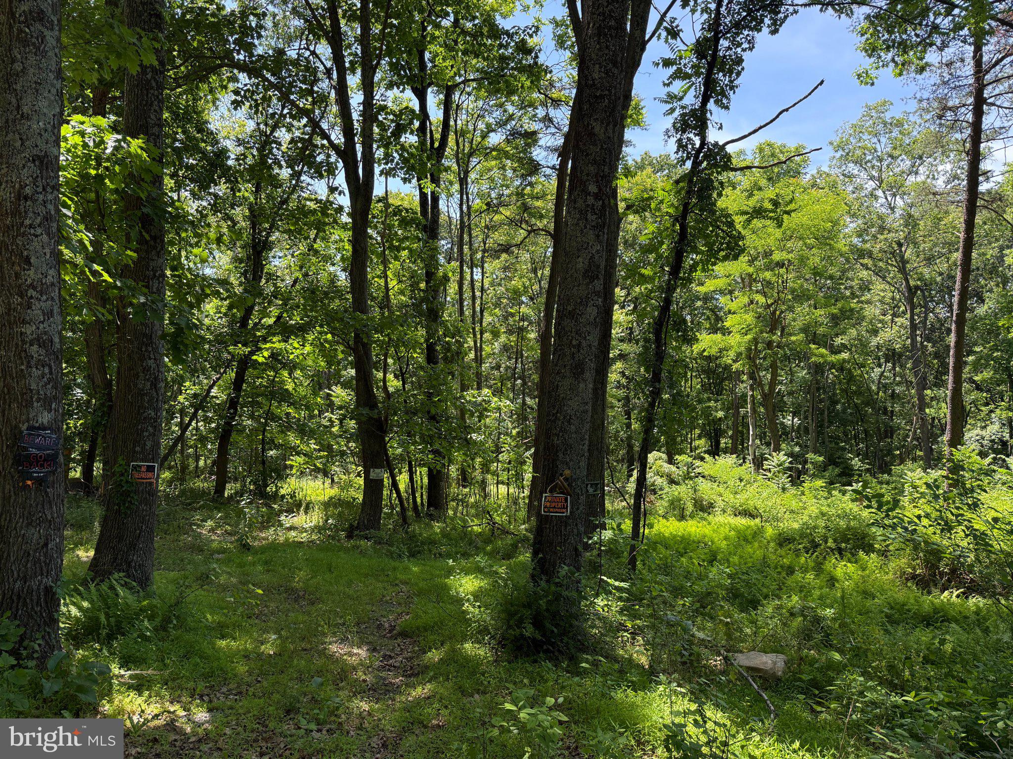 Photo 1 of 5 — 80 CABIN ROAD, AUGUSTA, WV 26704