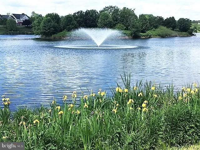 Ashburn, Virginia 20147, United States, 4 Bedrooms Bedrooms, ,4 BathroomsBathrooms,Residential,Coming Soon,120128