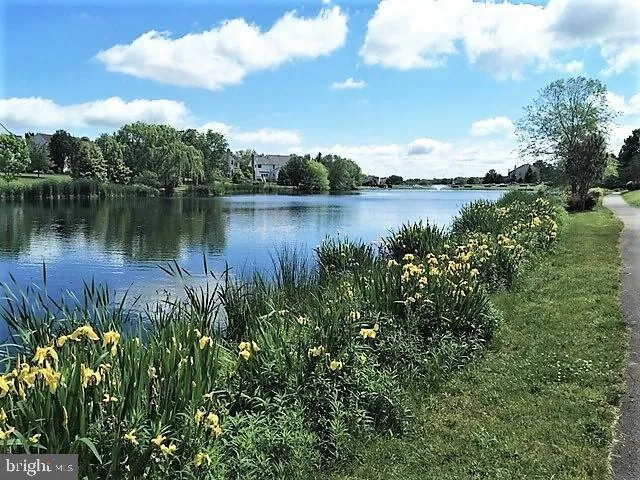 Ashburn, Virginia 20147, United States, 4 Bedrooms Bedrooms, ,4 BathroomsBathrooms,Residential,Coming Soon,120128