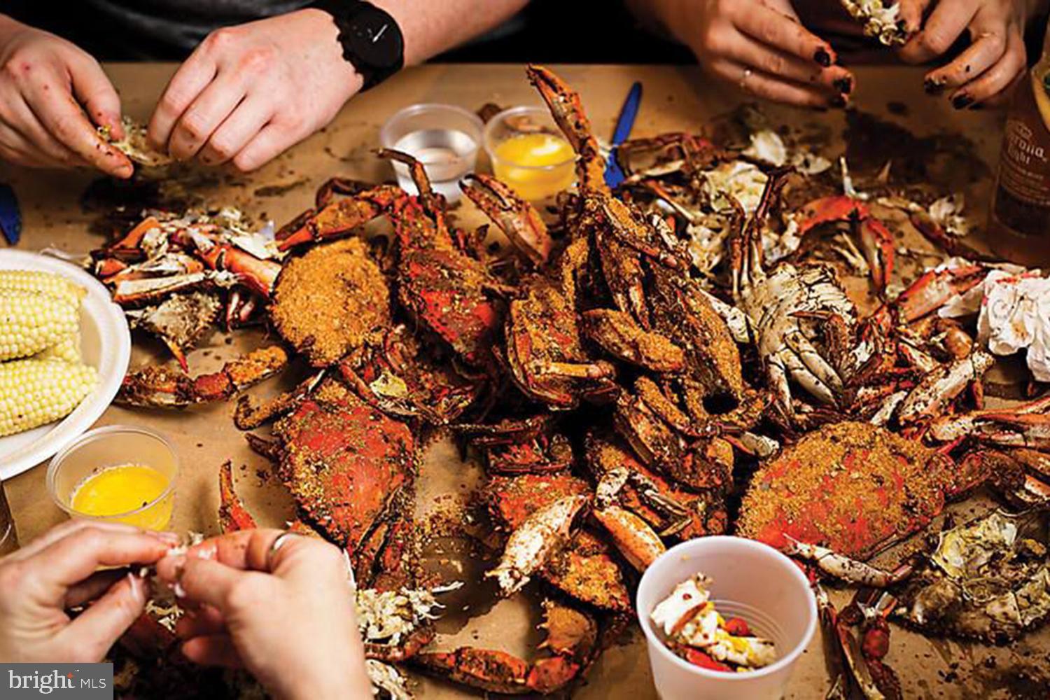 BAYVIEW ESTATES (MD) - Residential