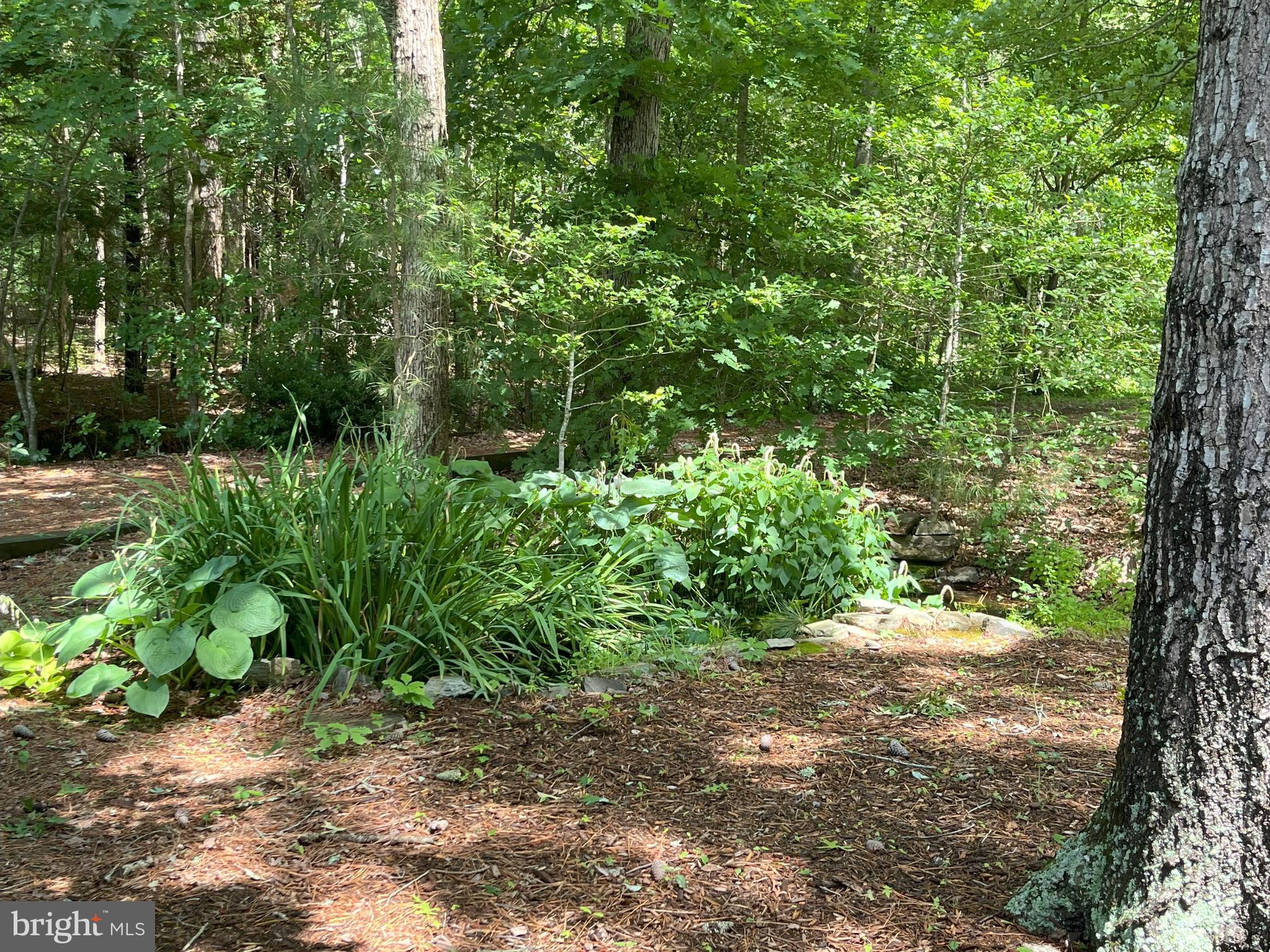 BAYVIEW ESTATES (MD) - Residential