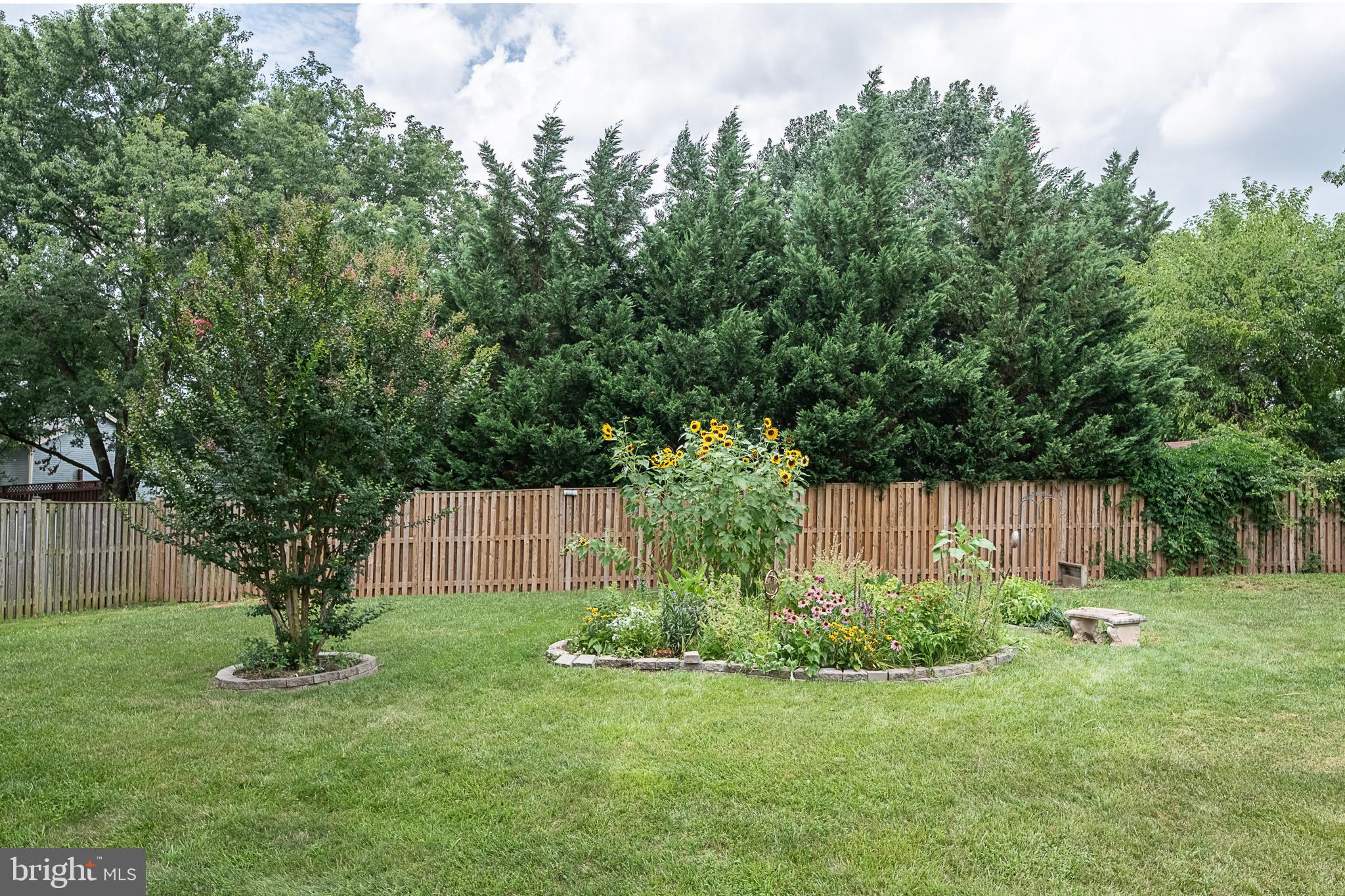 NESTORIA - Residential