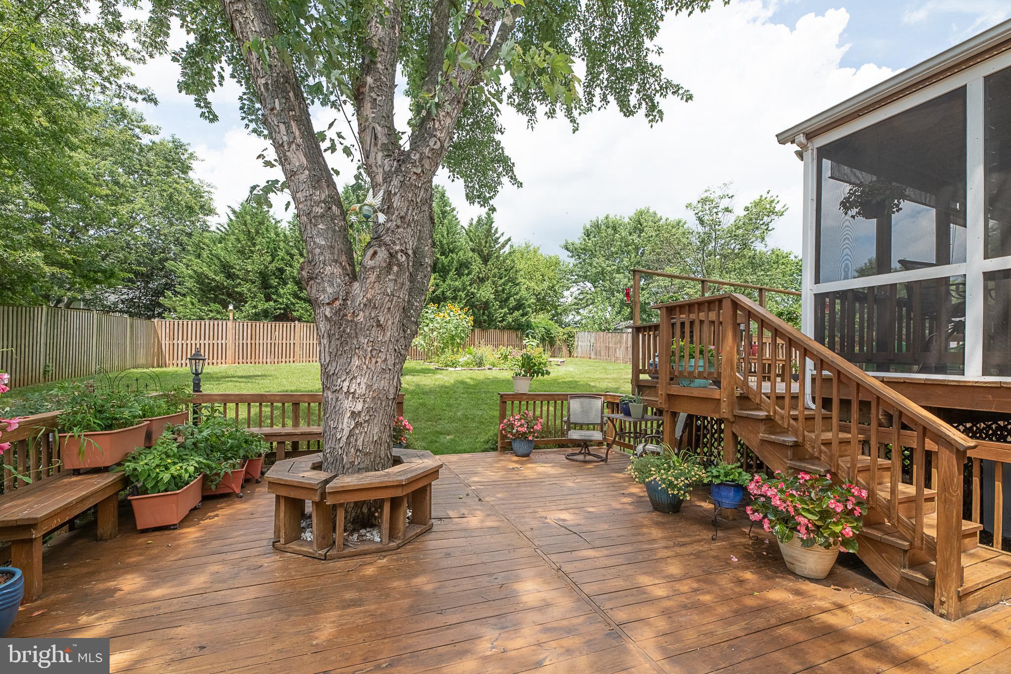 NESTORIA - Residential