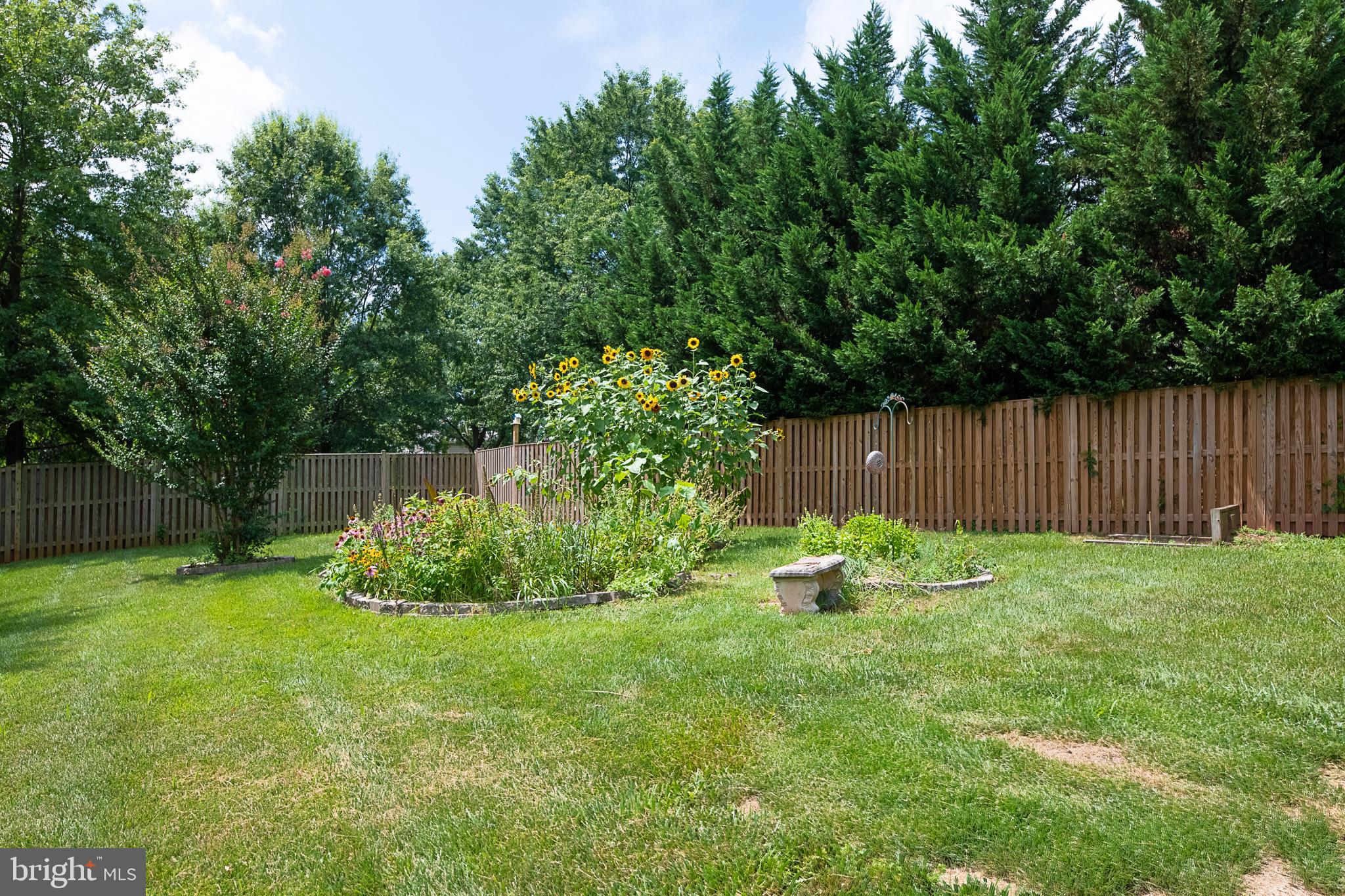 NESTORIA - Residential