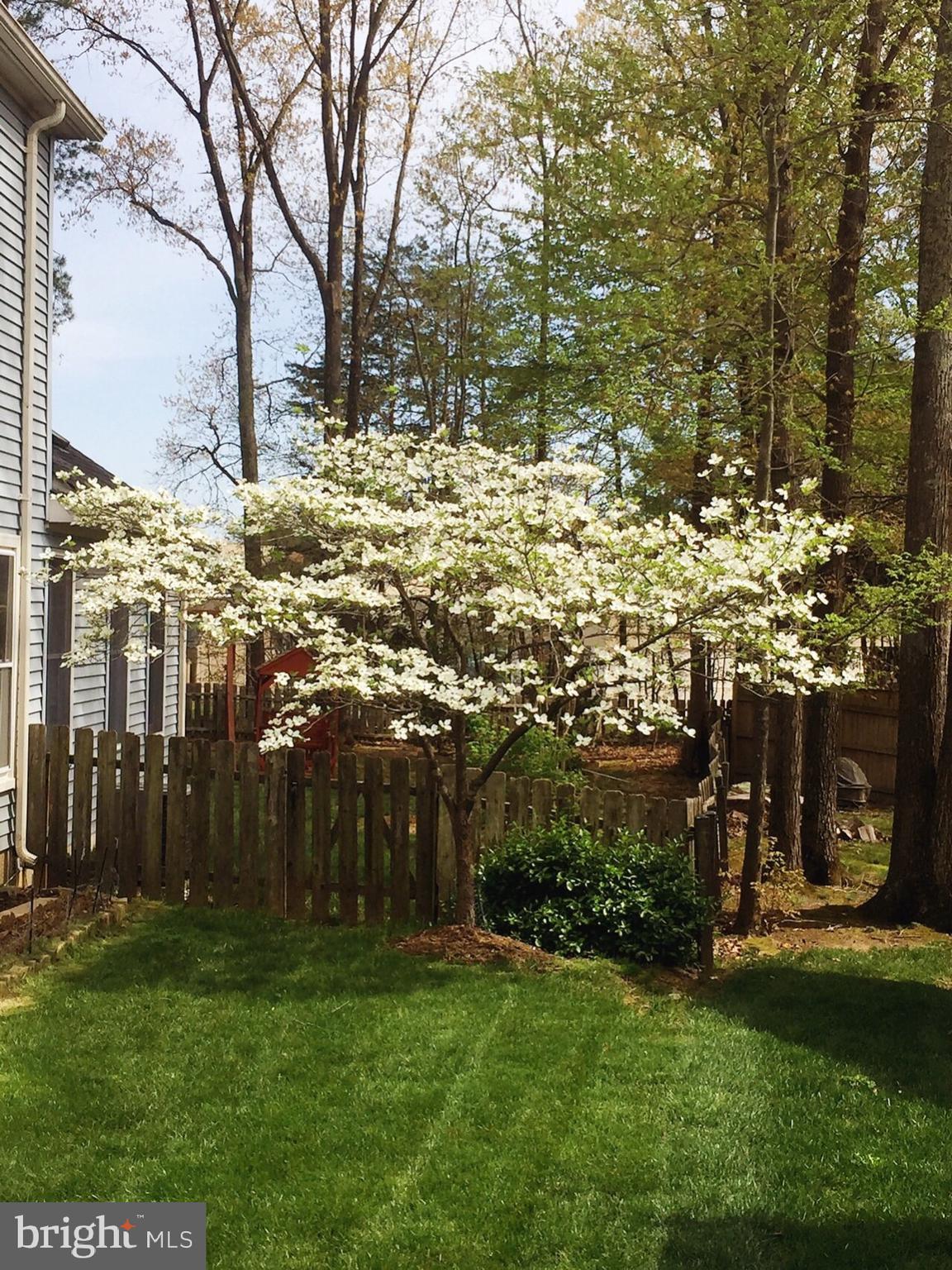 CHERRY RUN - Residential