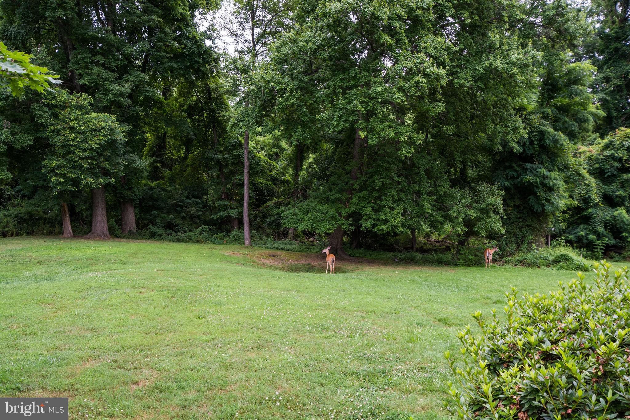 THE HUNTSMAN CONDOMINIUM - Residential