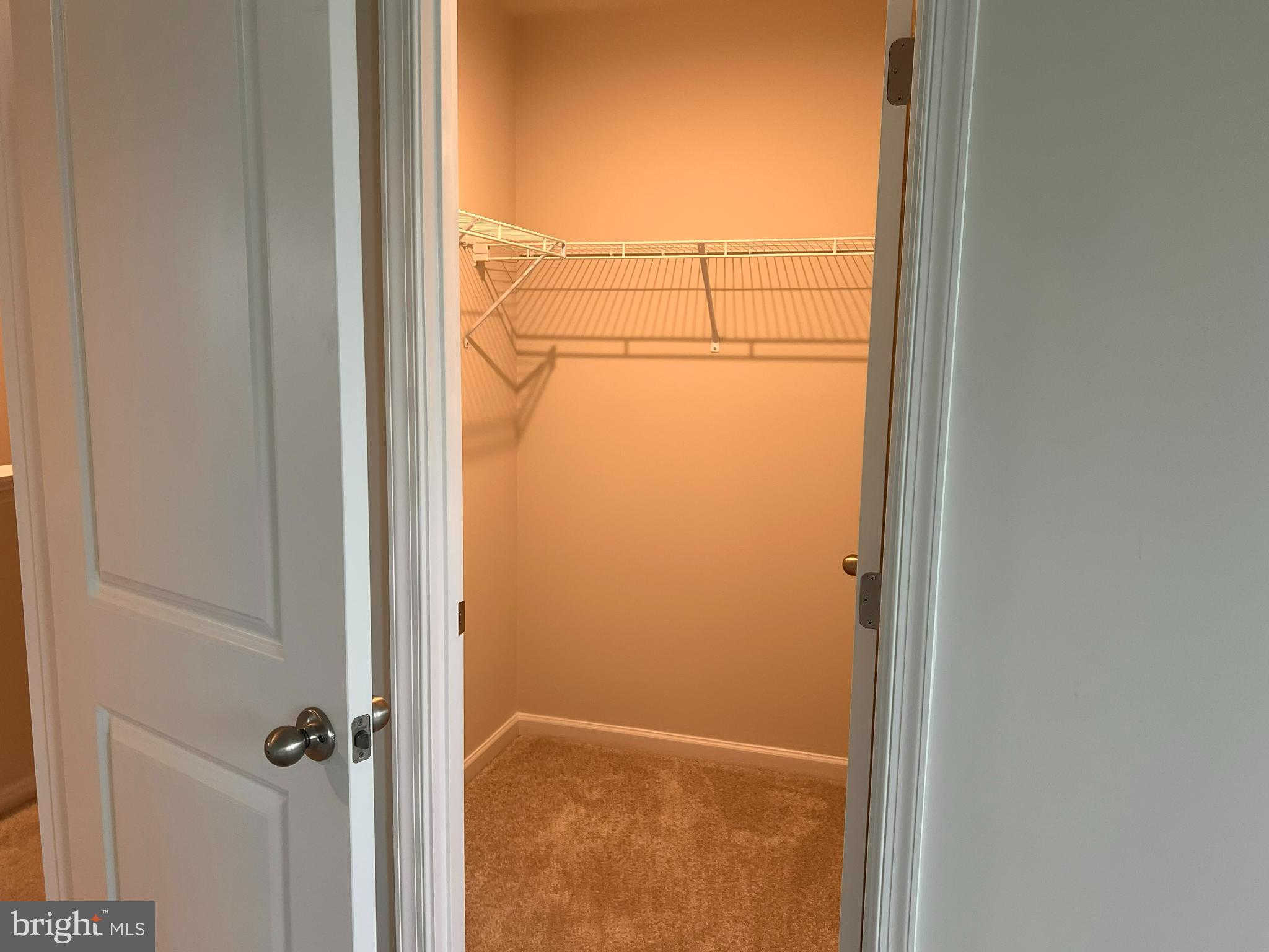 CARDINAL POINTE - Residential Lease