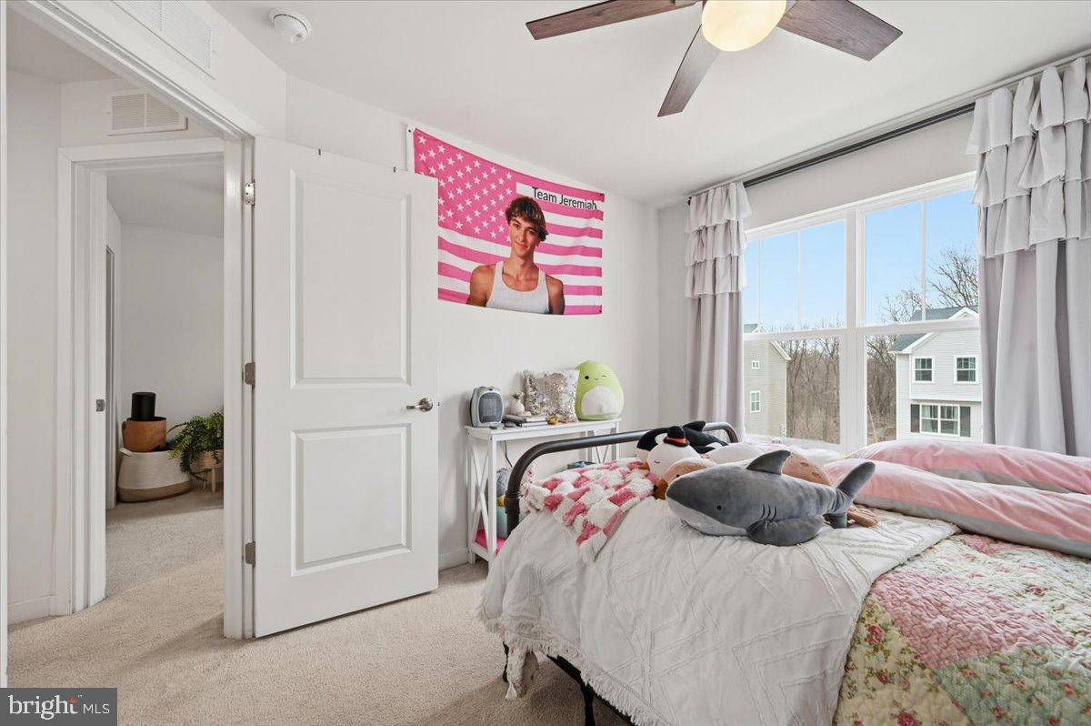 TOWNES AT SHANNON HILL - Residential