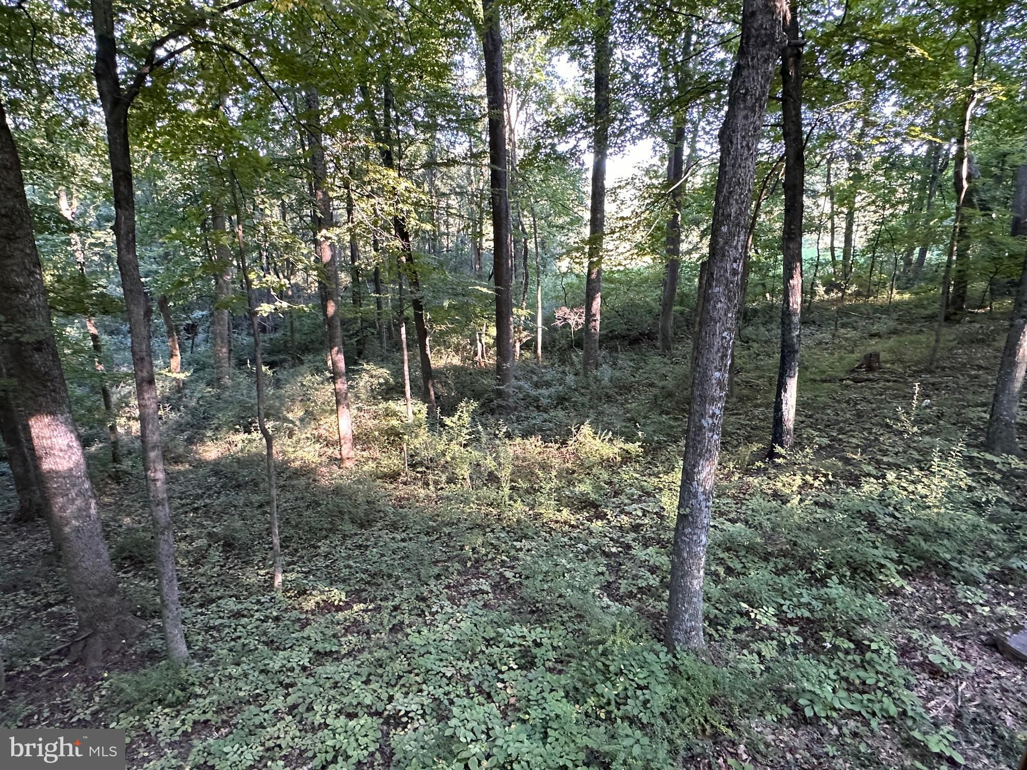 COOLFONT MOUNTAINSIDE - Land