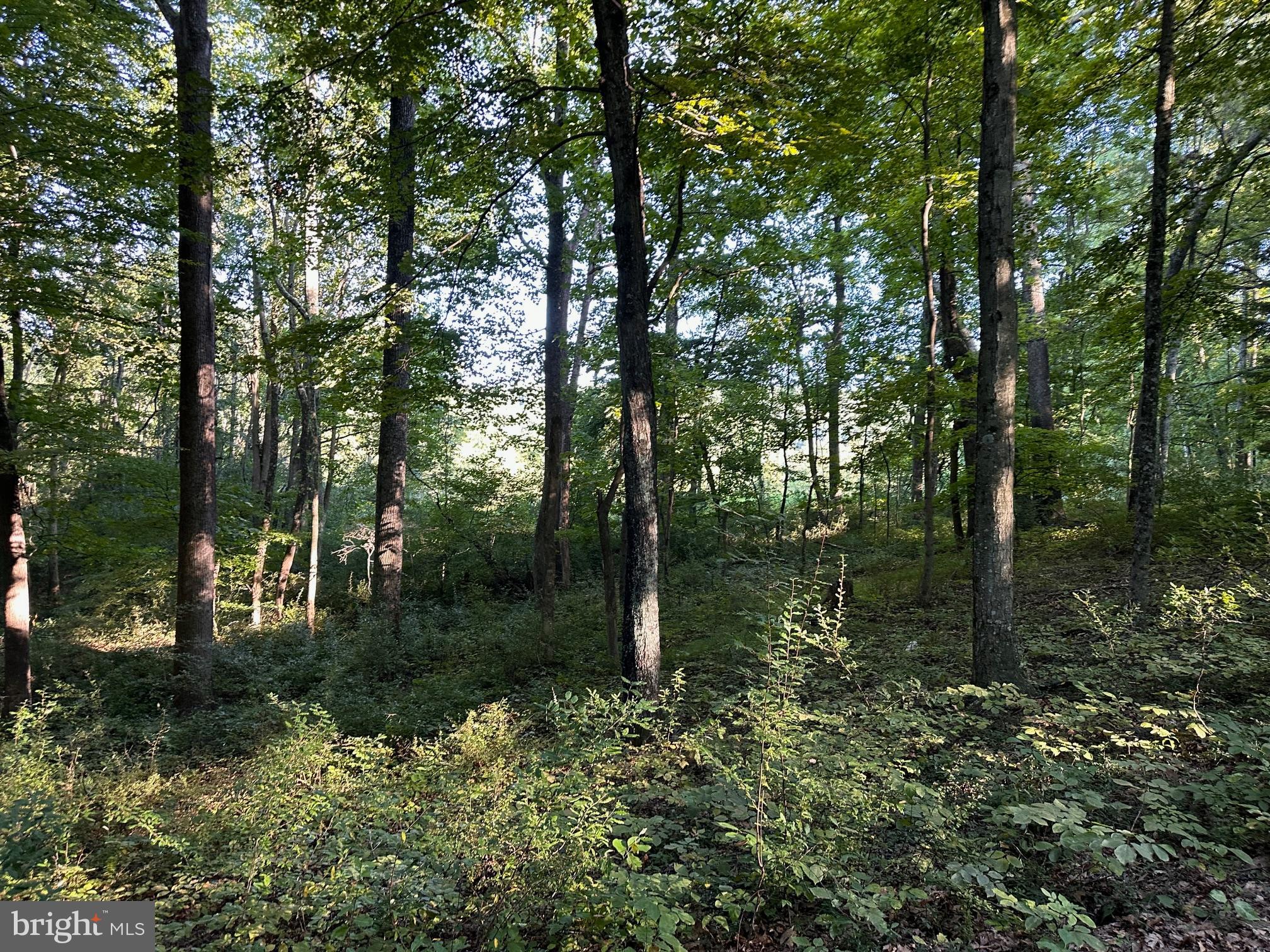 COOLFONT MOUNTAINSIDE - Land