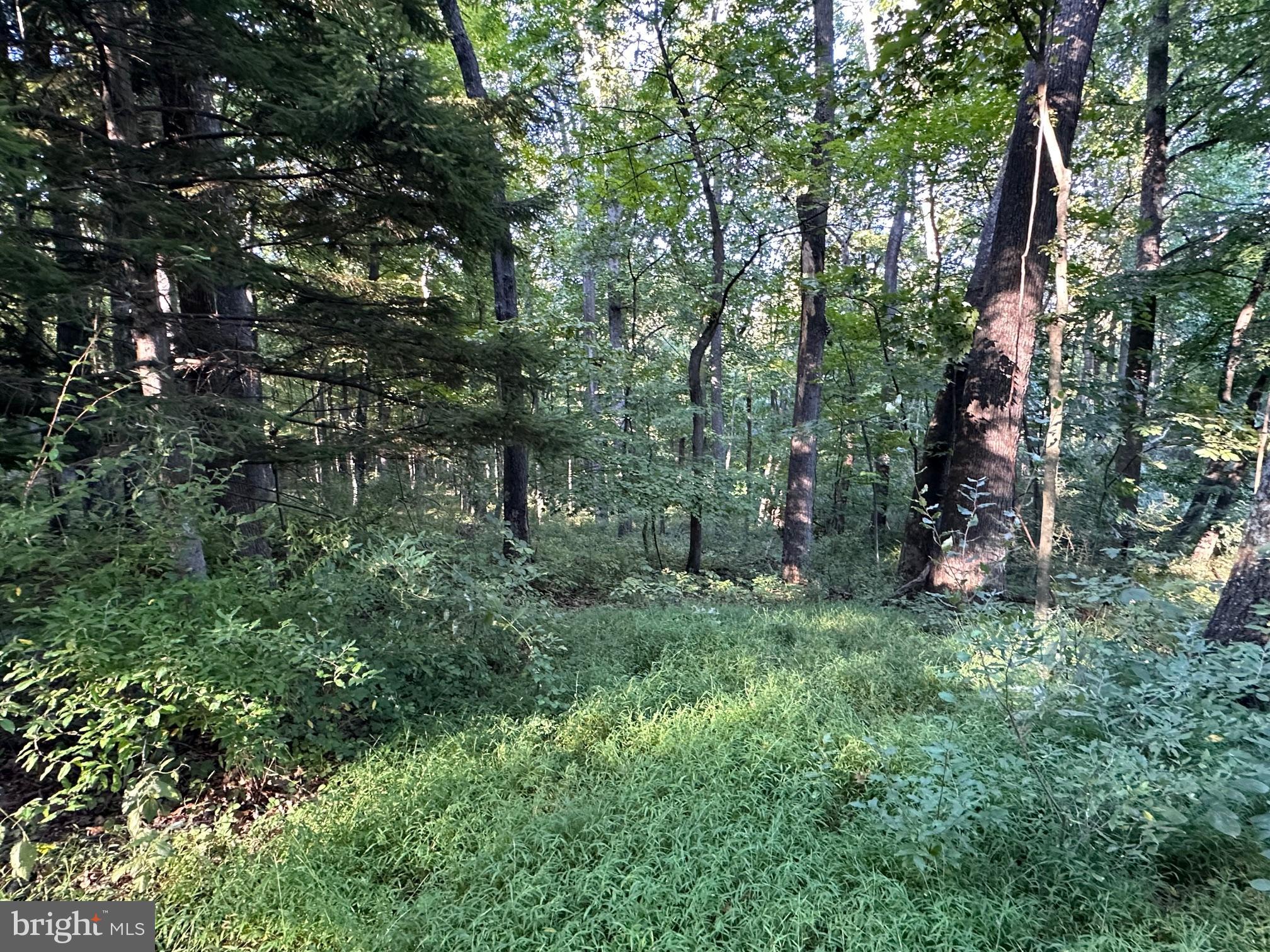 COOLFONT MOUNTAINSIDE - Land