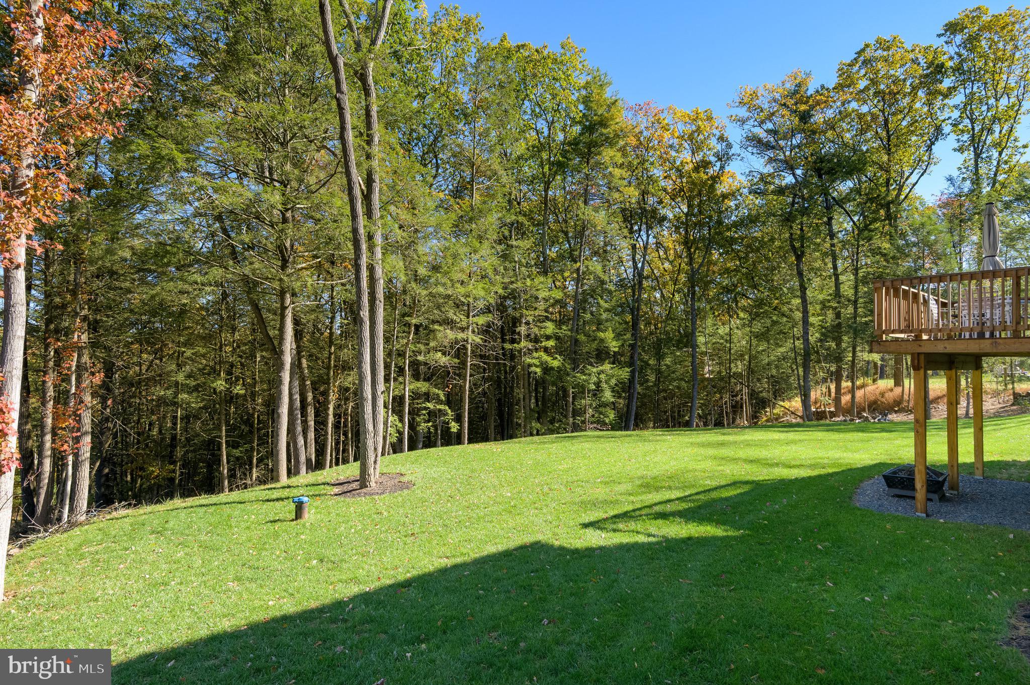 THE WOODS - Residential