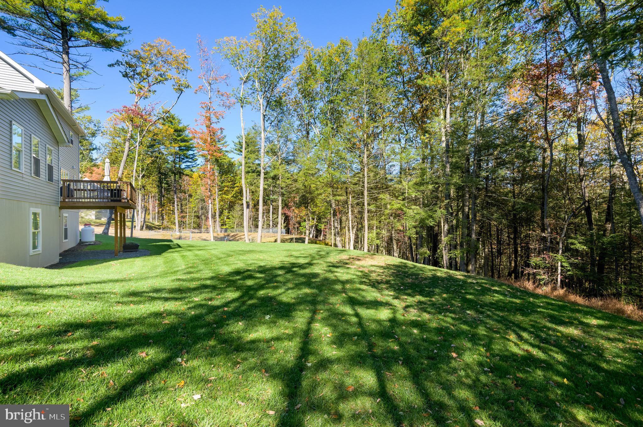 131 CHINABERRY WAY