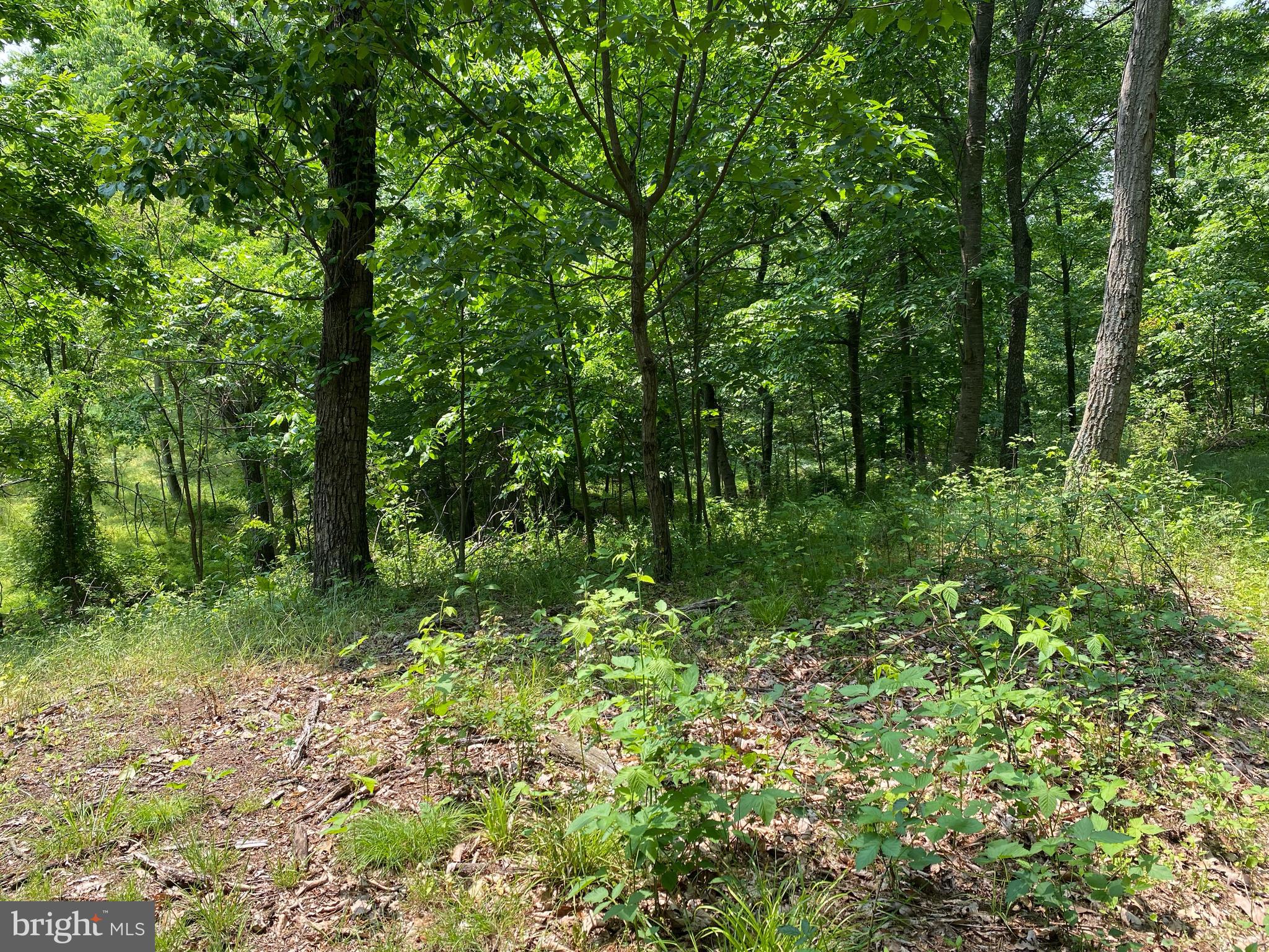 21A COOL HOLLOW ROAD