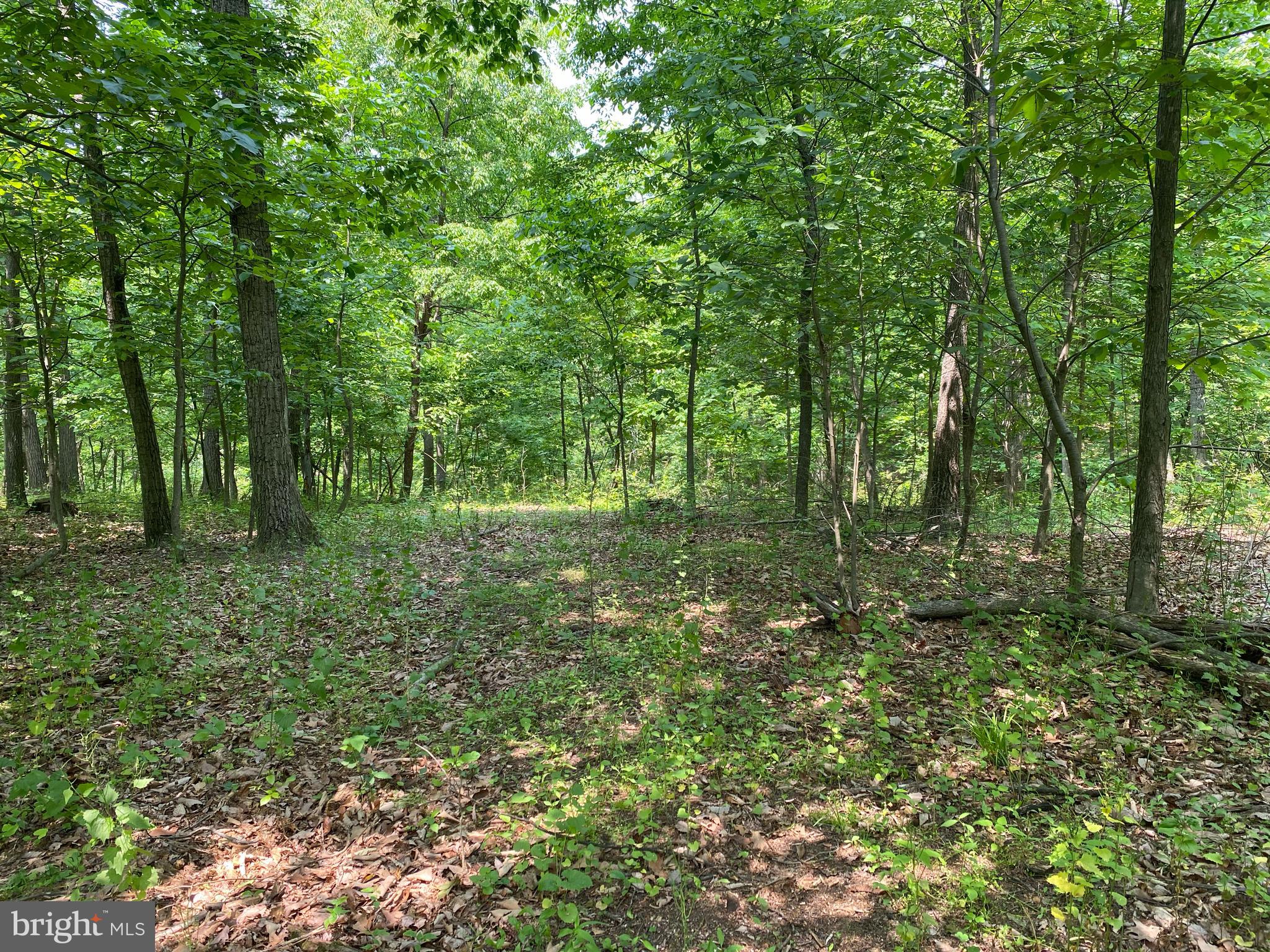 21A COOL HOLLOW ROAD