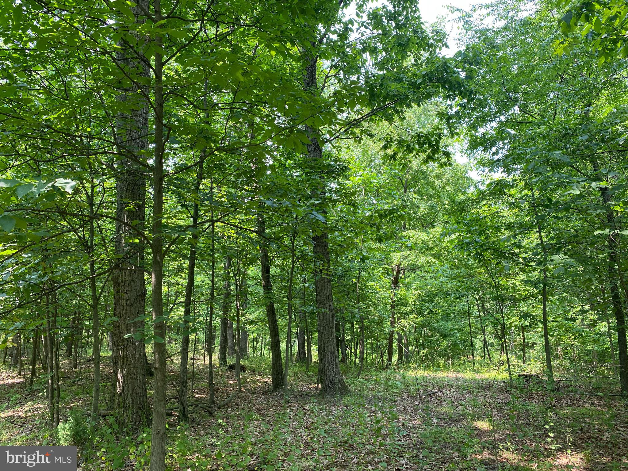21A COOL HOLLOW ROAD