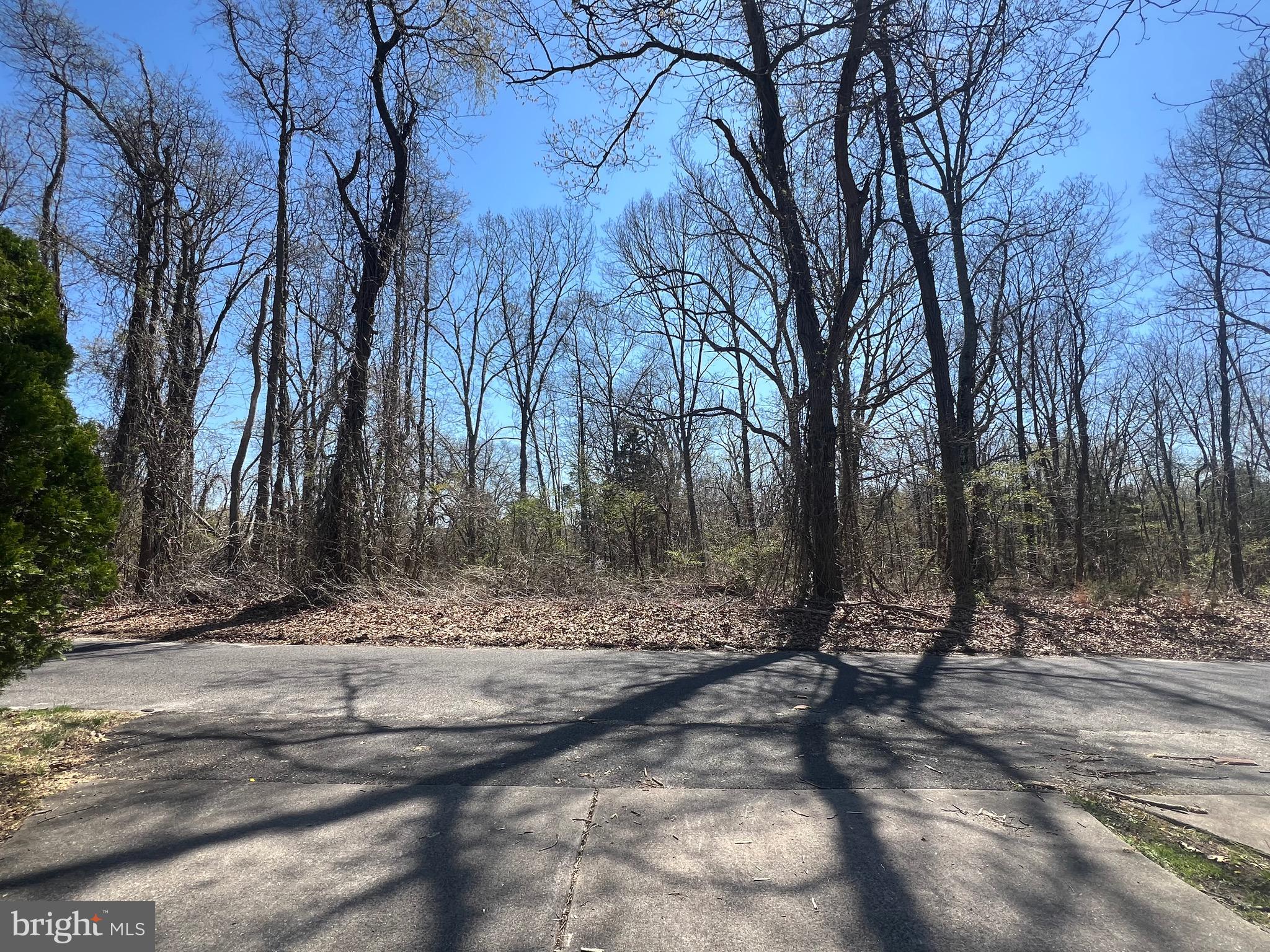 205 HENDRICKS AVENUE