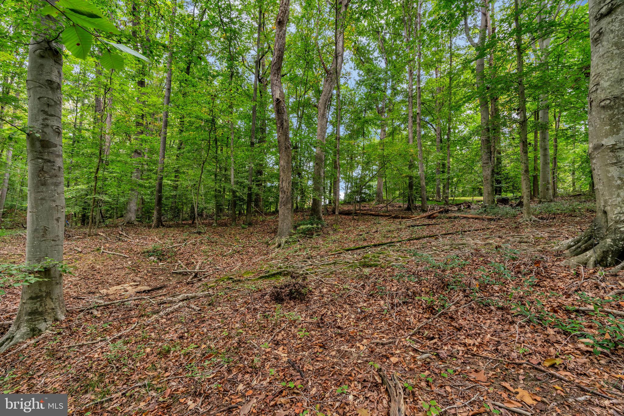 STONEHENGE - Residential