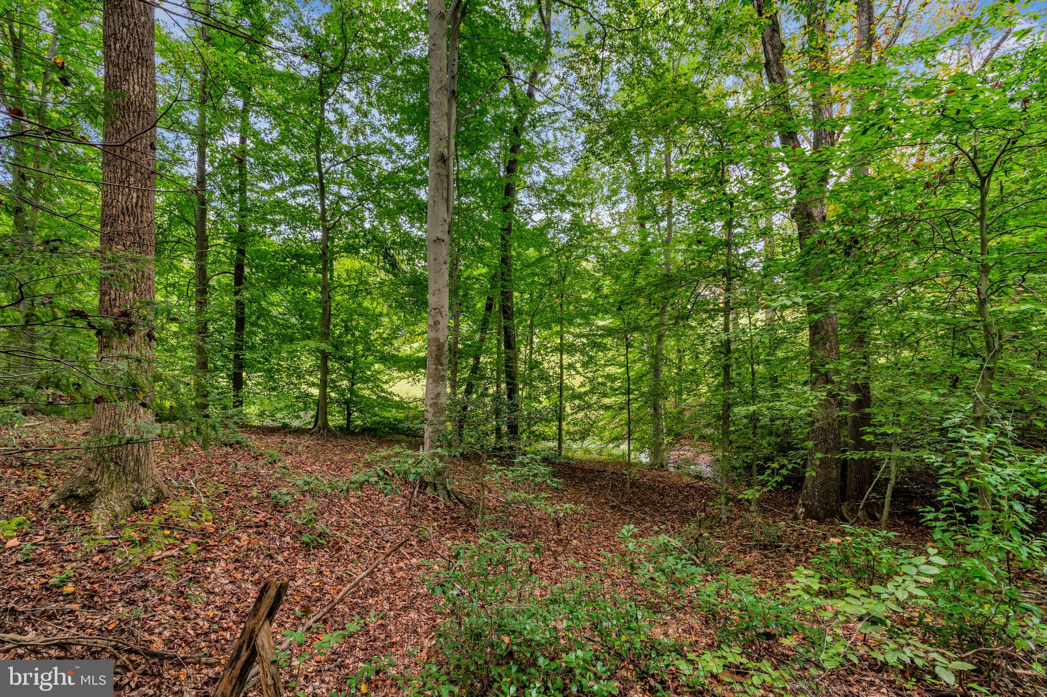 STONEHENGE - Residential