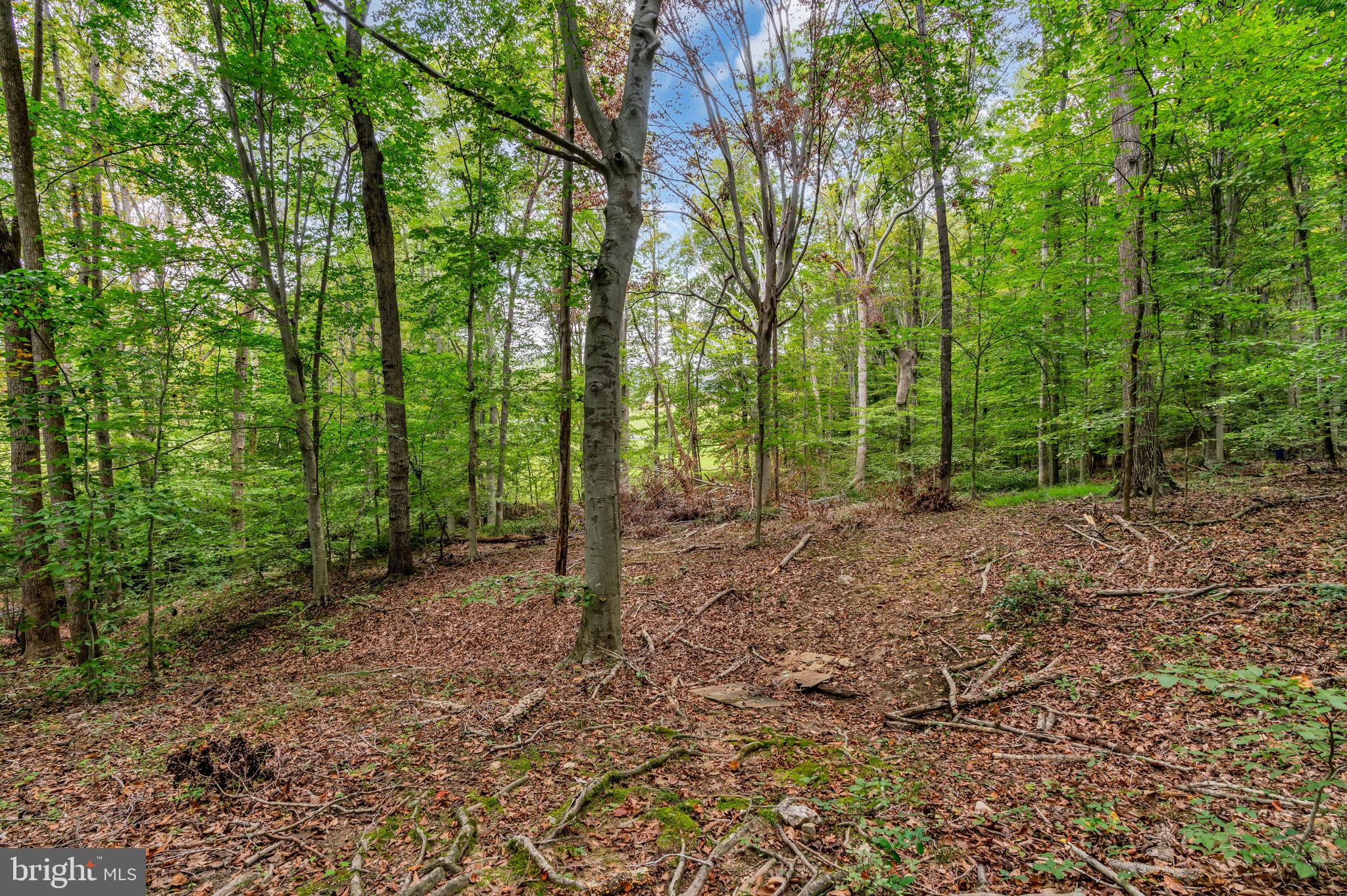 STONEHENGE - Residential