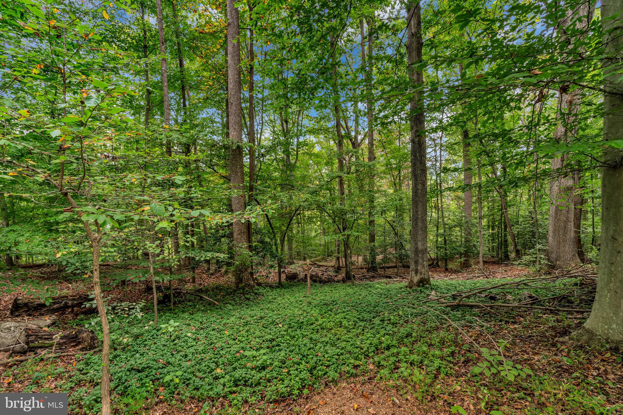 STONEHENGE - Residential