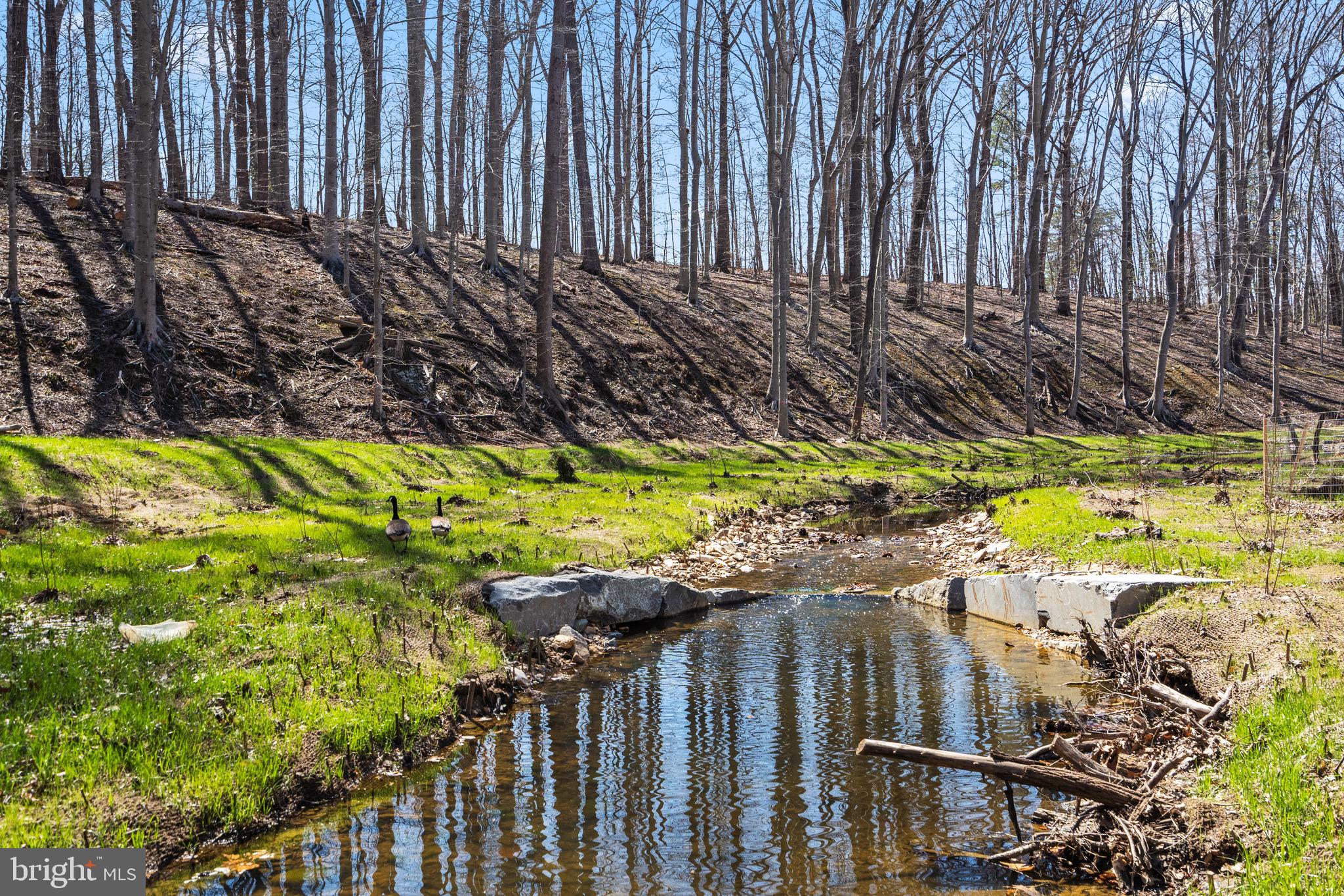 MOSBY WOODS TOWNHOUSE - Residential