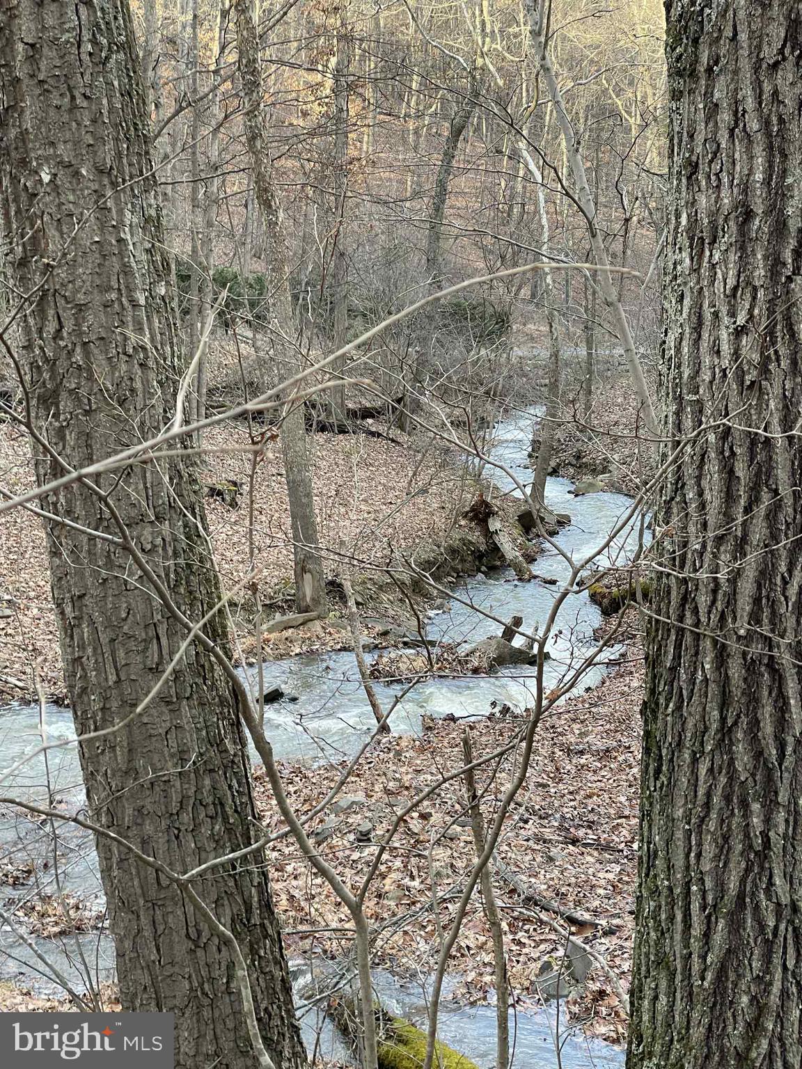 BLUFFS ON THE POTOMAC - Residential