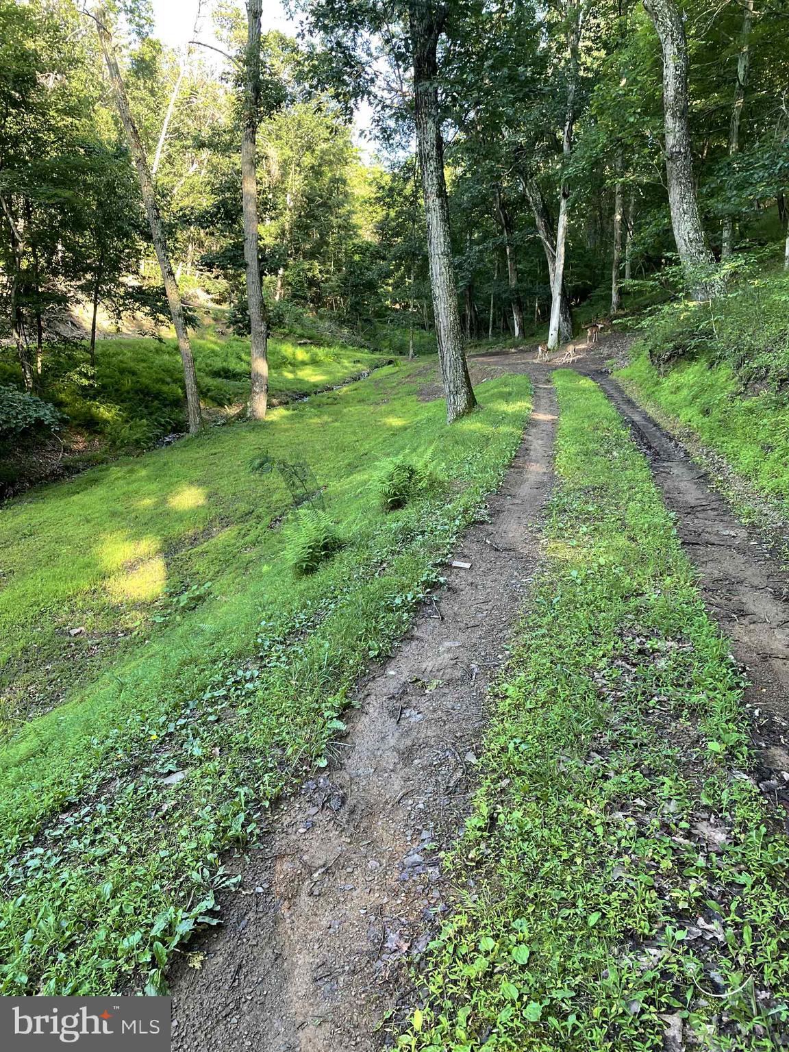BLUFFS ON THE POTOMAC - Residential