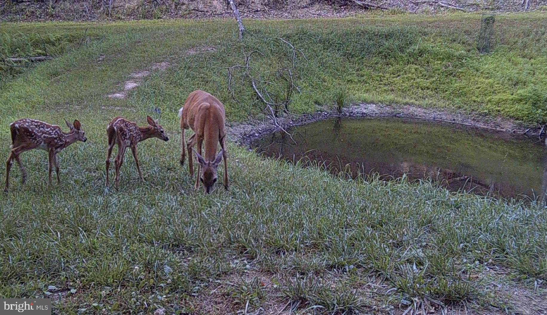 BLUFFS ON THE POTOMAC - Residential