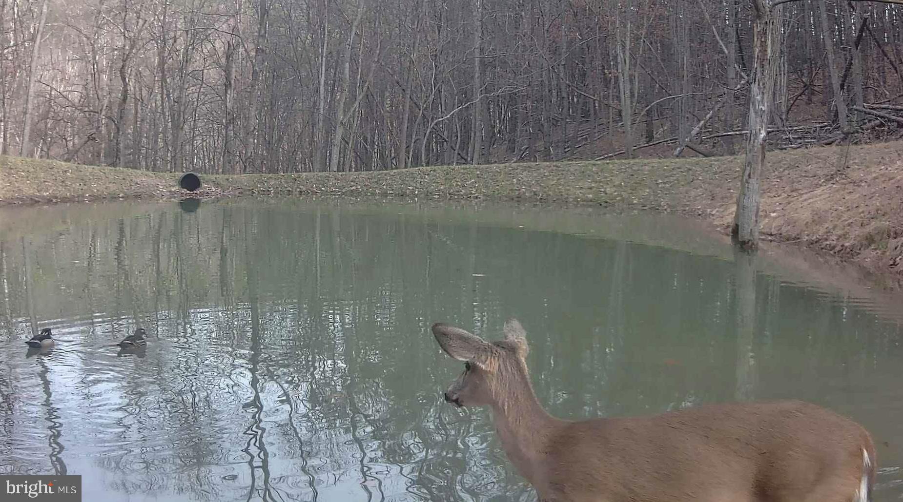 BLUFFS ON THE POTOMAC - Residential