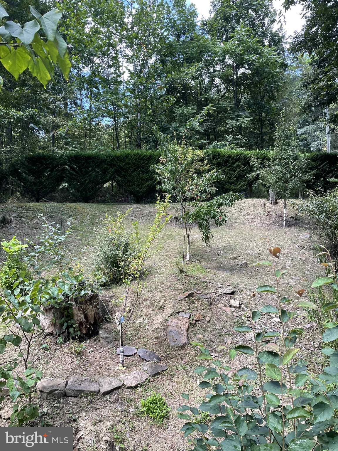 BLUFFS ON THE POTOMAC - Residential