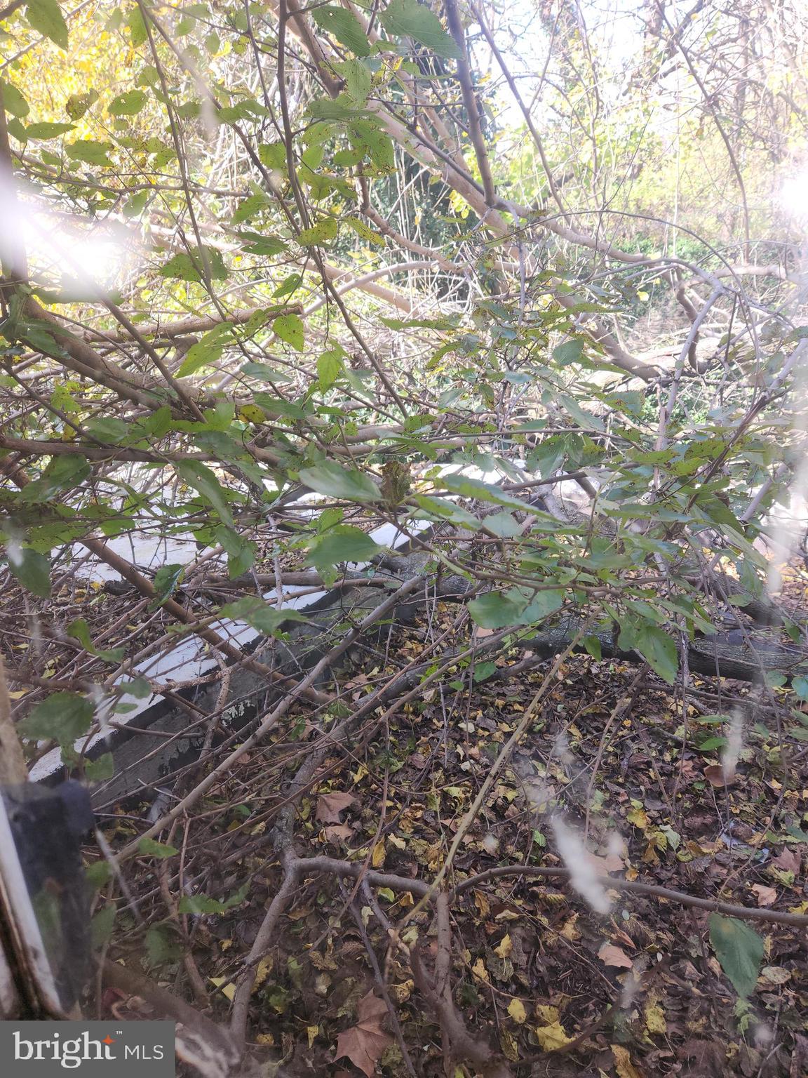 GERMANTOWN (EAST) - Residential