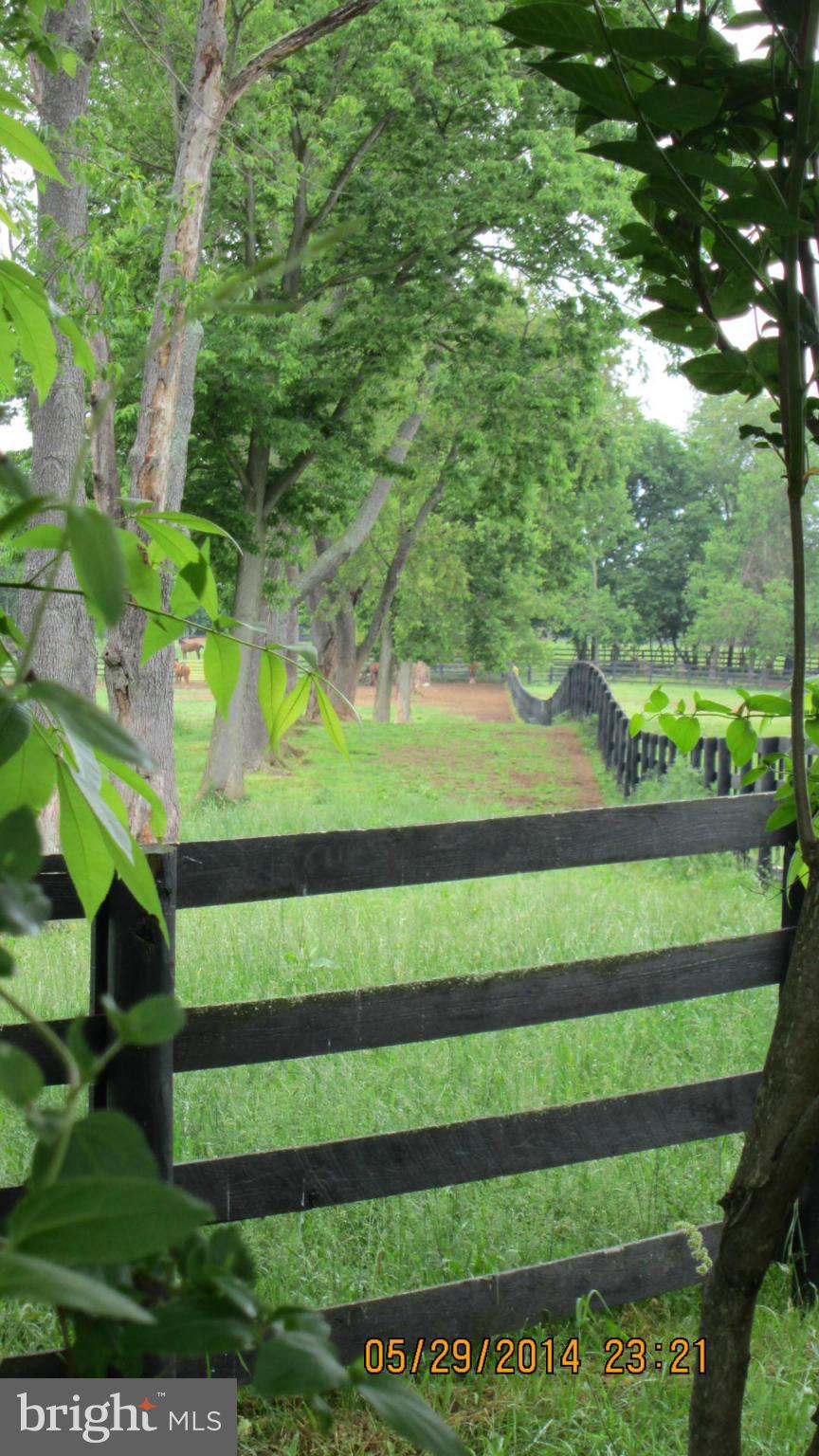 LOCUST HILL - Residential