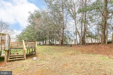 listing image 40