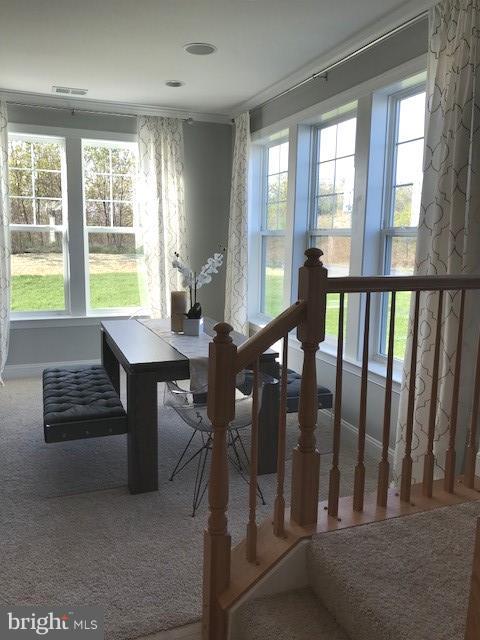 THE GALLERY - Residential