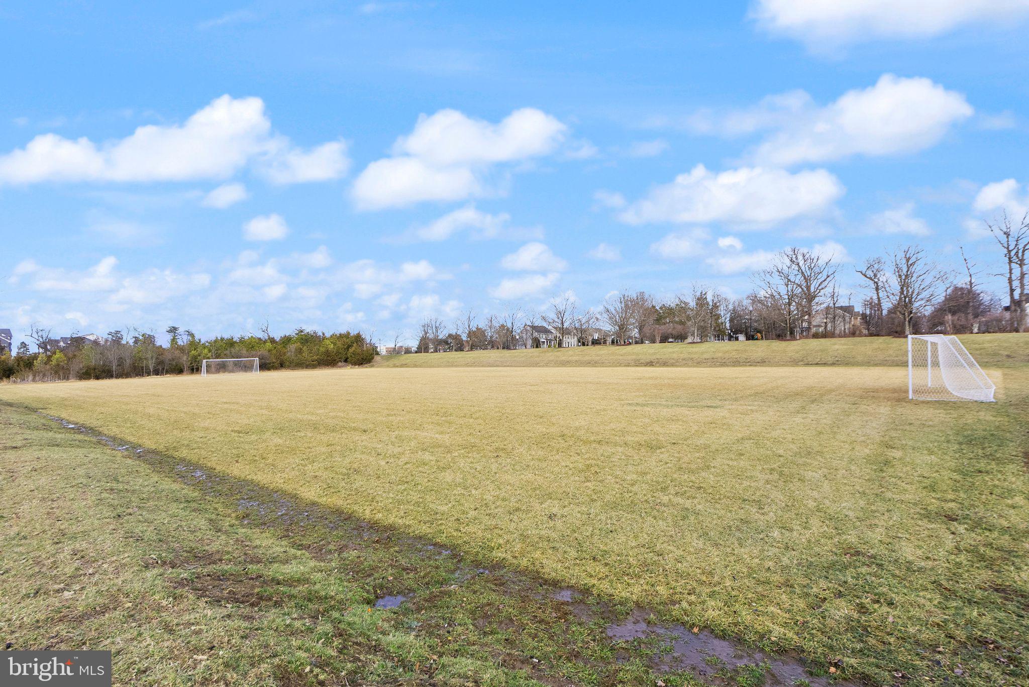 LAKESIDE AT SOUTH RIDING - Residential